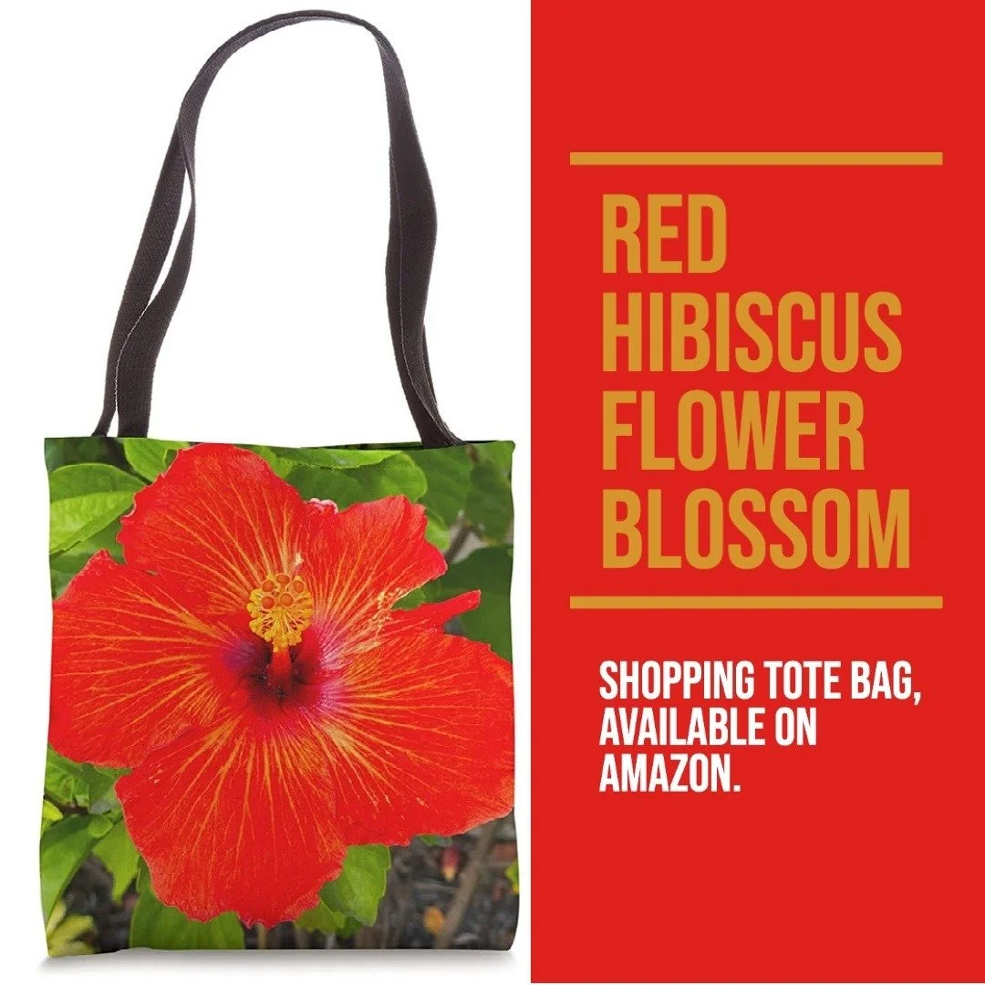 This #spring the #Hibiscus #flowers were in full #bloom! This gorgeous Red Hibiscus flower #blossom was just outside our home and smelled heavenly. 

I added this close-up #tropical #floral bright red Hibiscus flower blossom photo on a Tote Bag. Idea