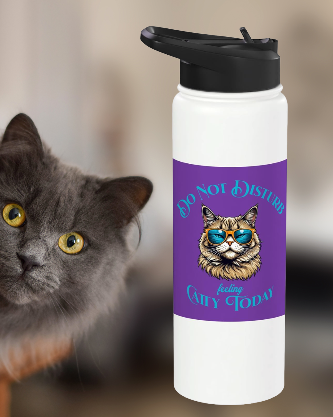 Do No Disturb Feeling Catty Today Waterbottle