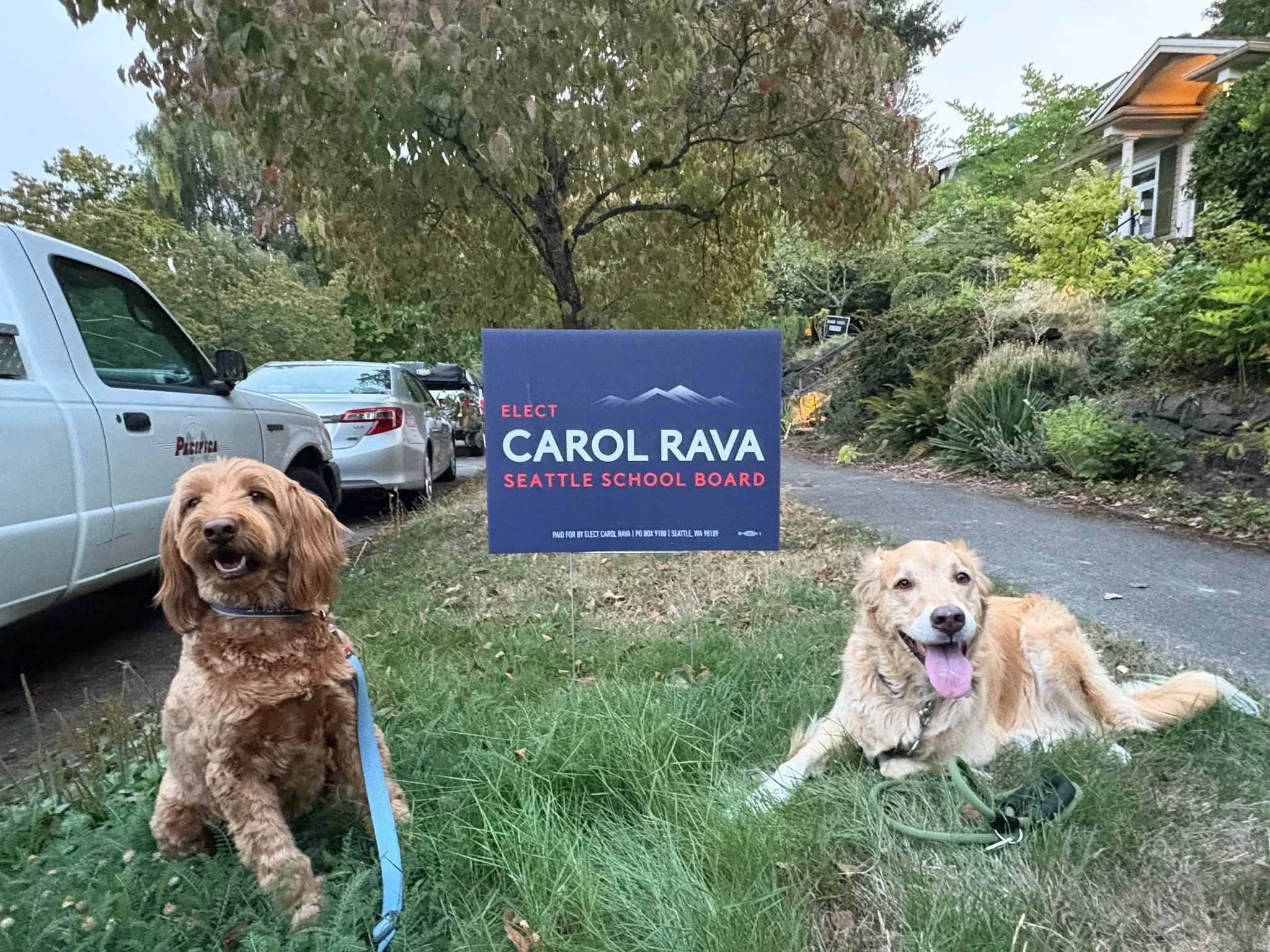 New endorsements from two of Seattle&rsquo;s cutest canines 🐾💙