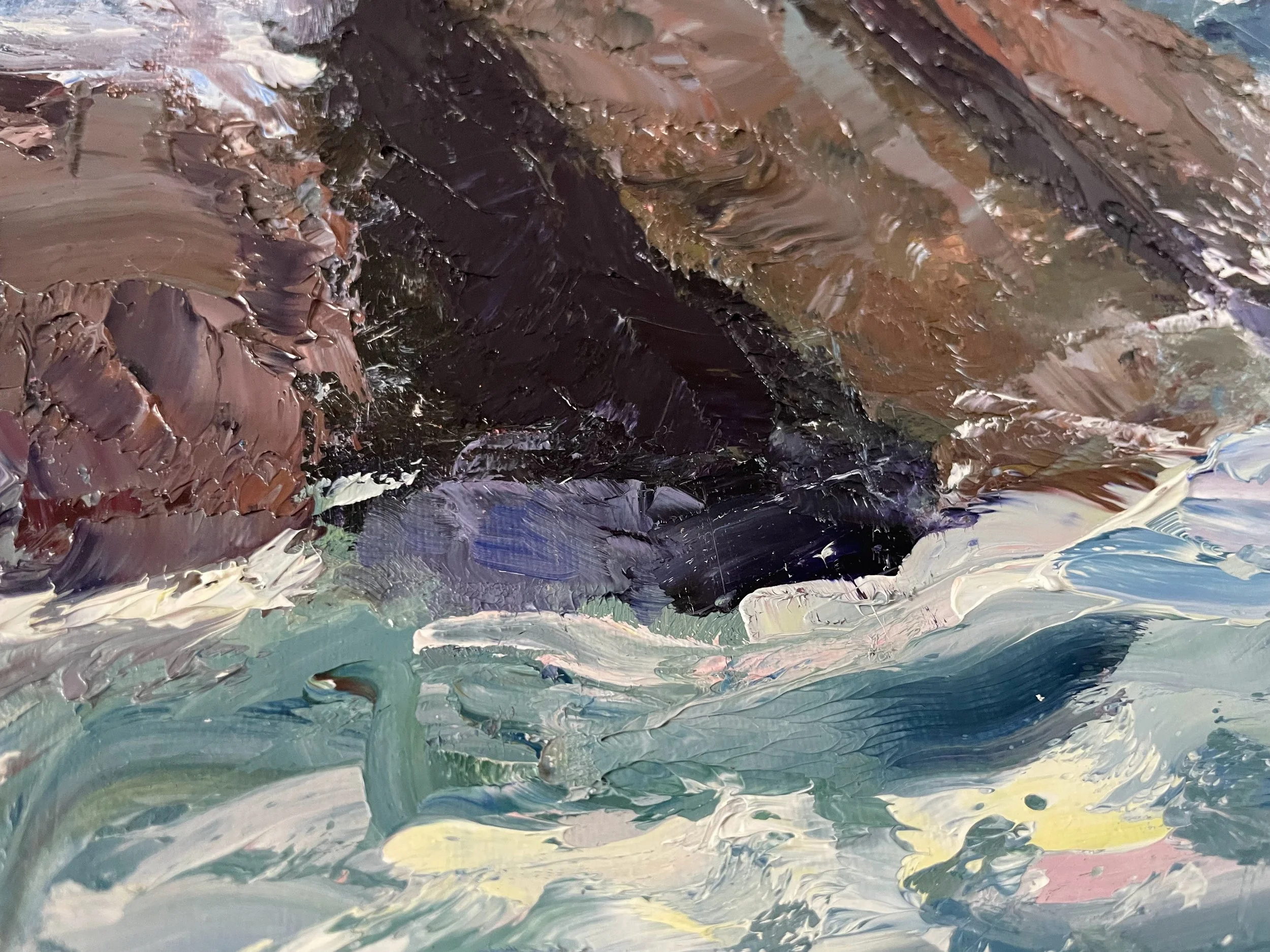 Olena Shyshkova Cliffs in Monterey Bay 2025 Zoom.jpg