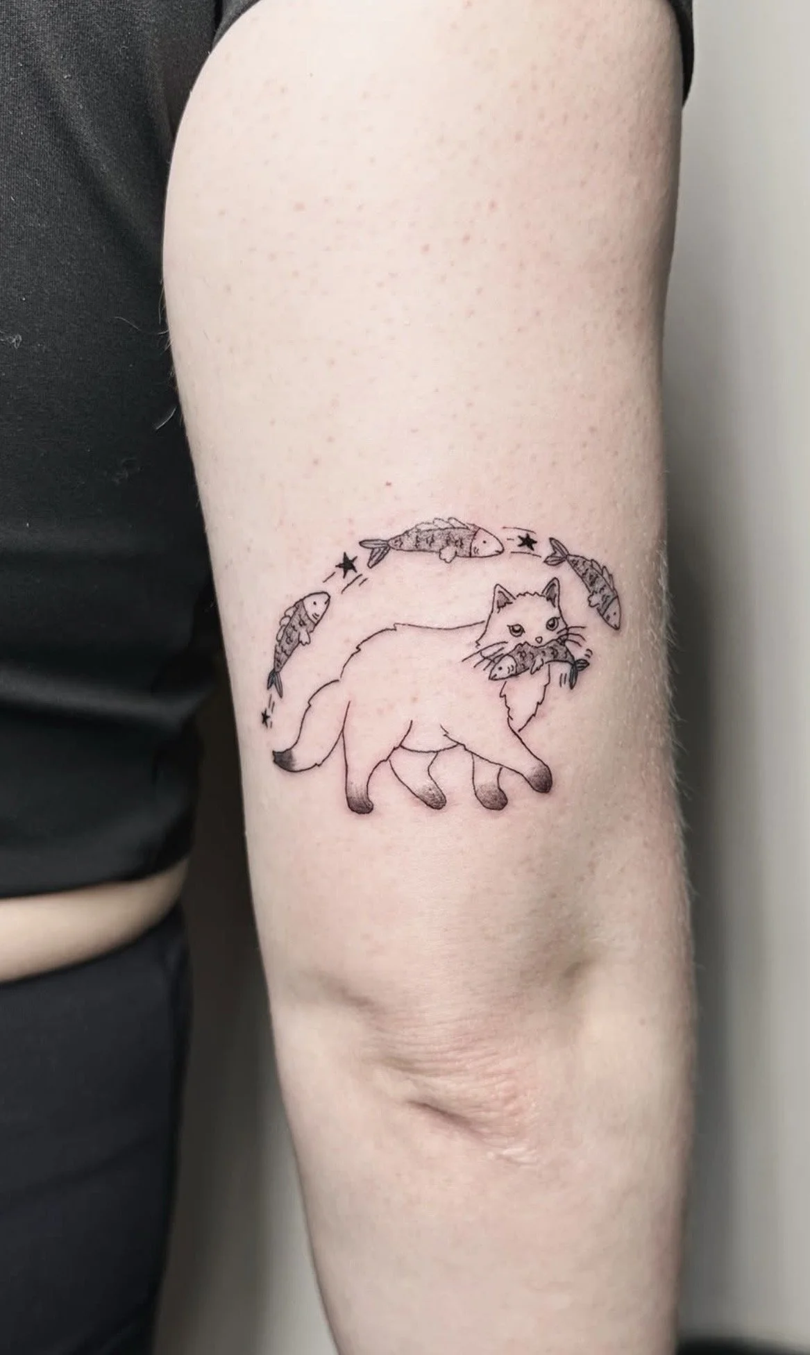 Cartoon cat with fish tattoo