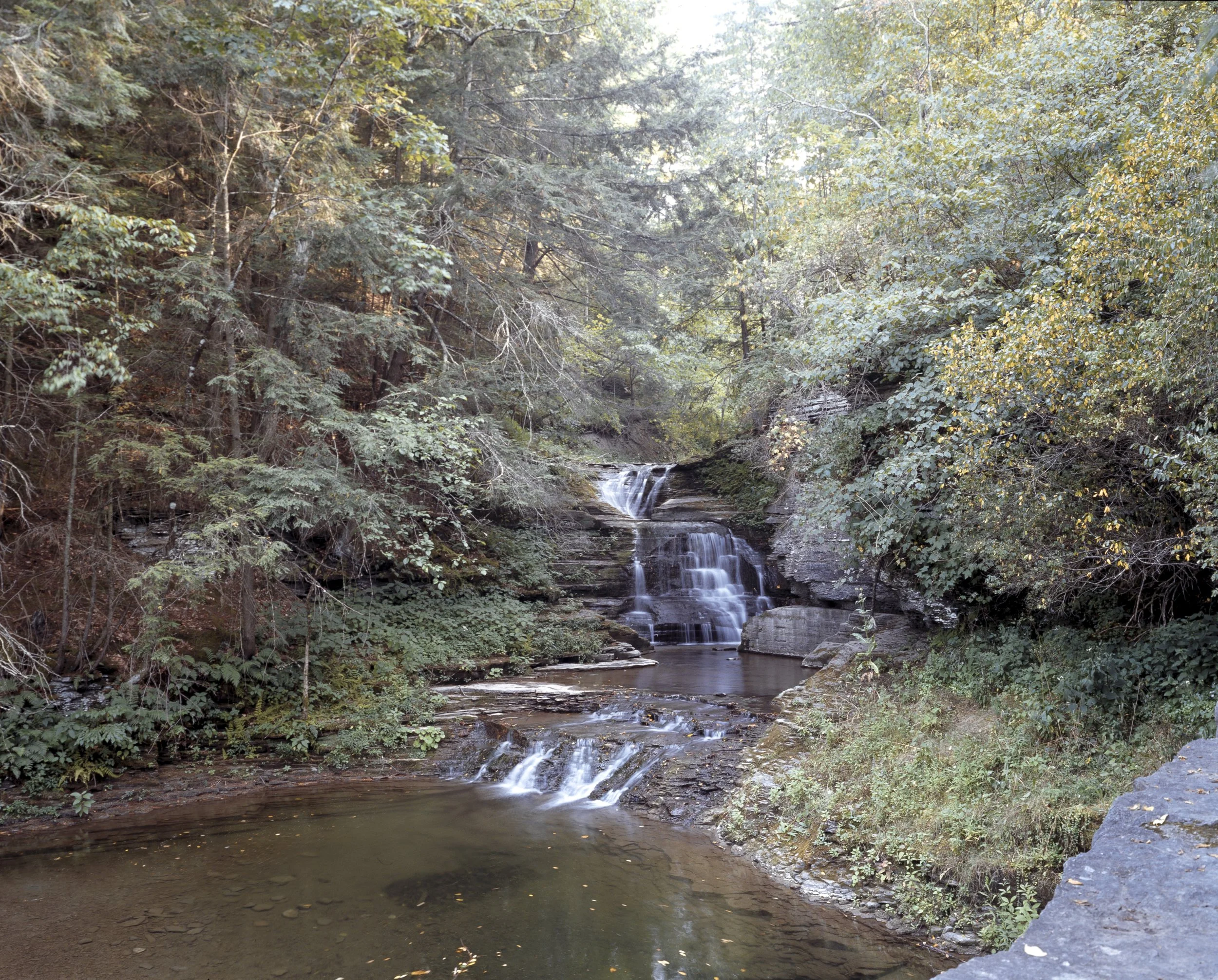 A small waterfall cascading over rocky ledges in a forest with green foliage and trees surrounding it.
