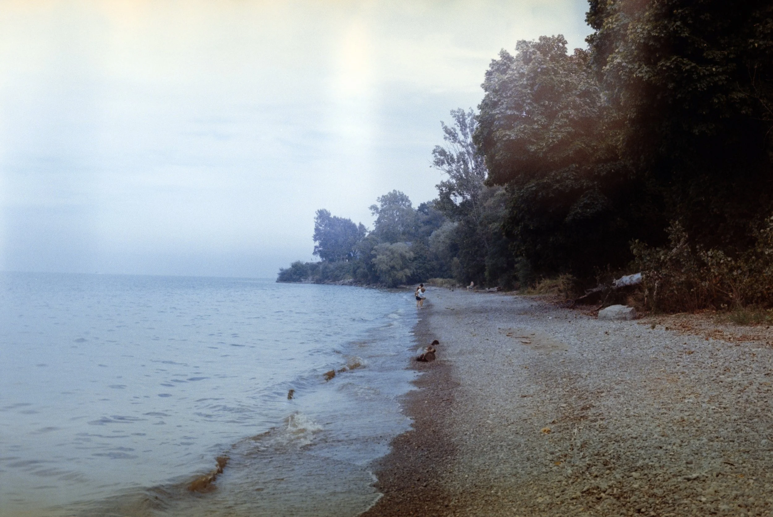 A peaceful beach scene with a calm body of water on the left and a tree-lined shoreline on the right, with a person standing near the water and a dog lying on the sand.