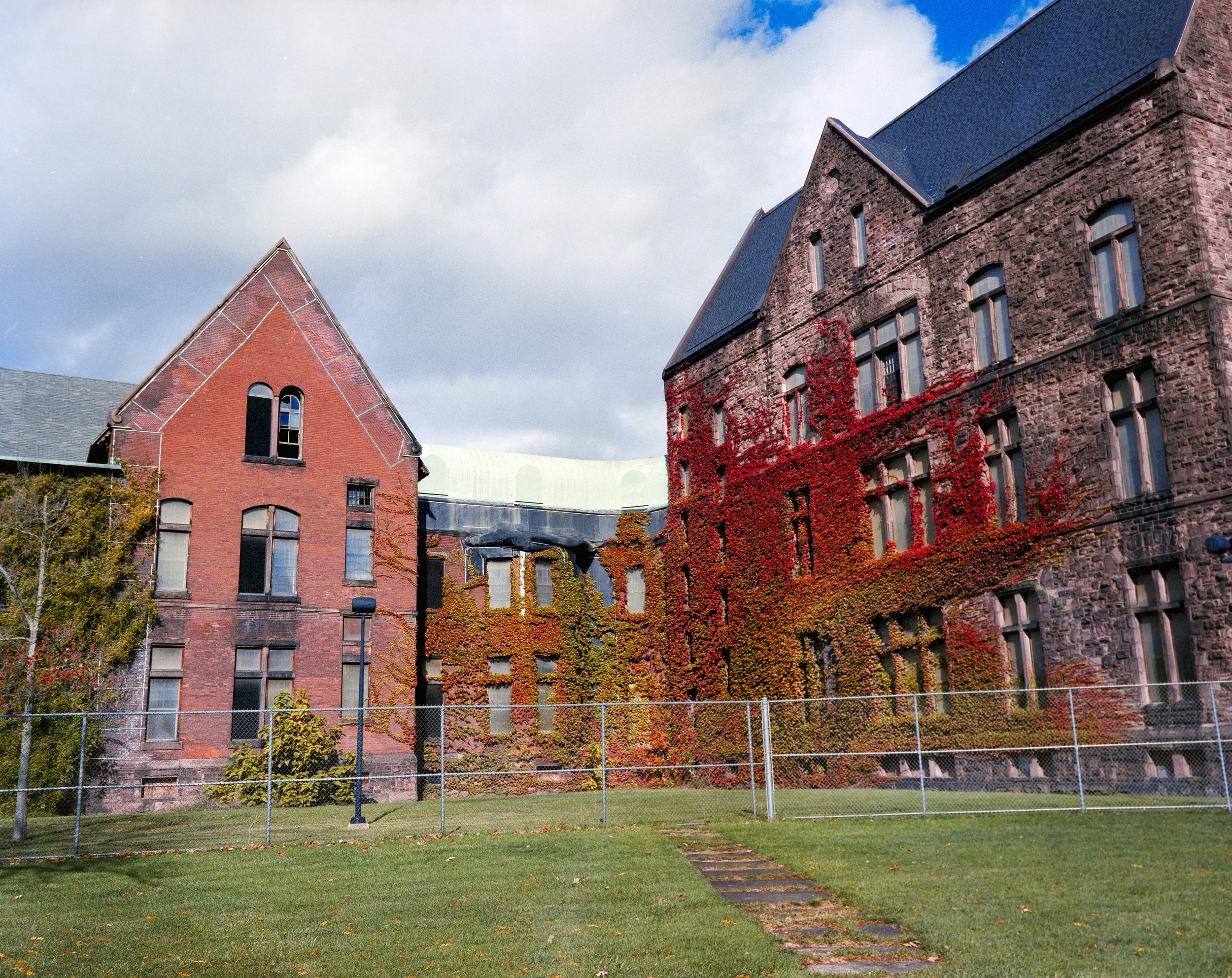 Kodak Vericolor II-3.jpg