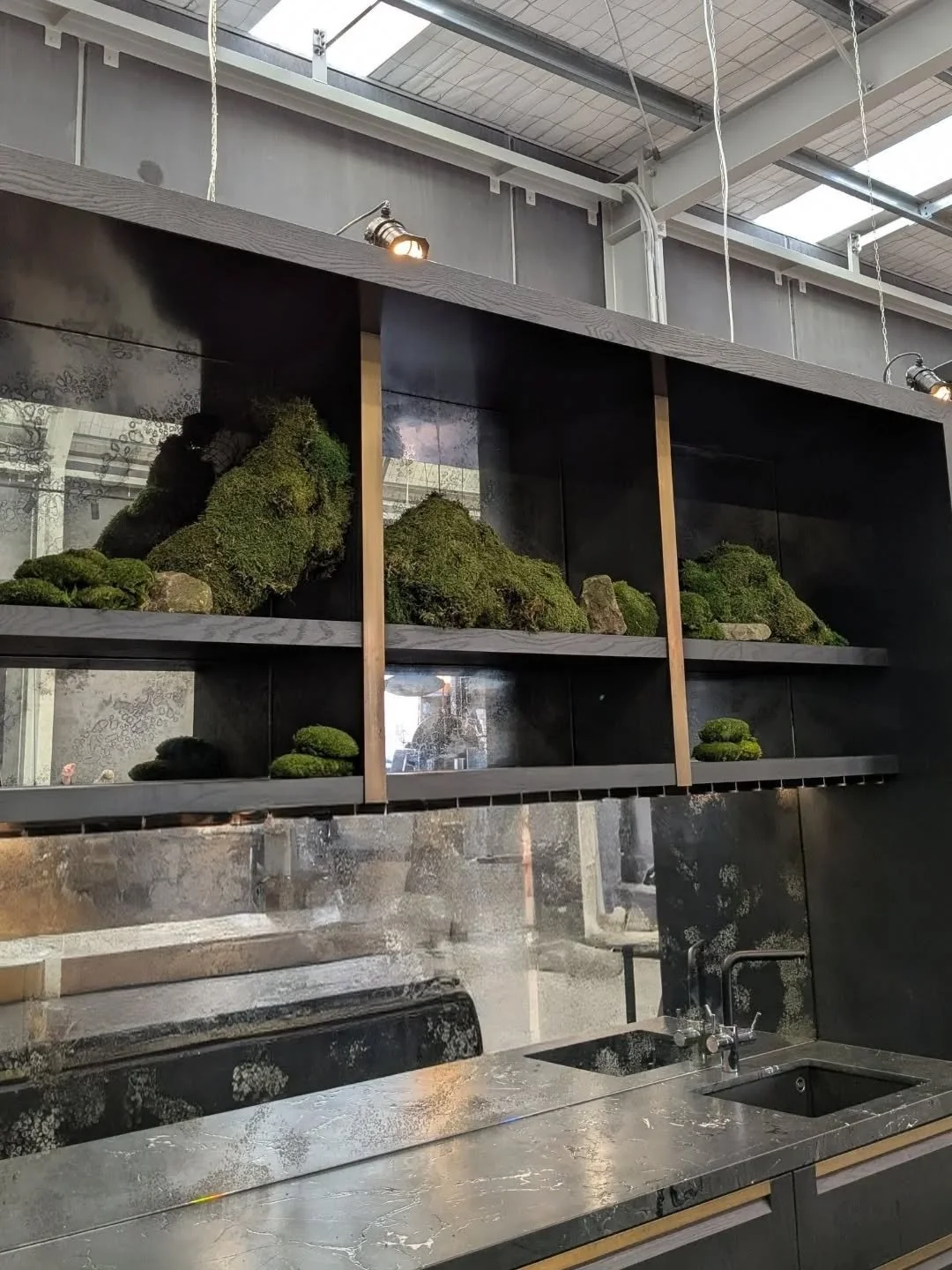 Little miss mounds taking over ⛰️

#moss