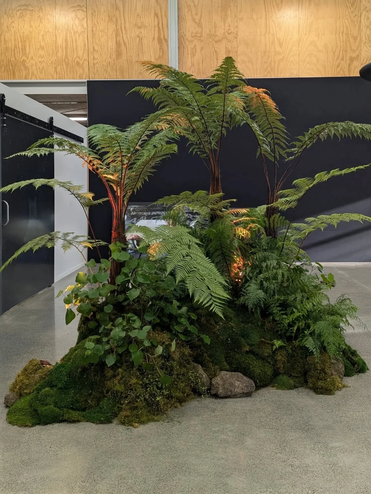 Layers and textures of the ngahere for Land Rover Defender vehicle launch 🌿🌱

@landrovernz 
@_specialpr 
@ceciliafox

#ngahere #nzevents #greenevents