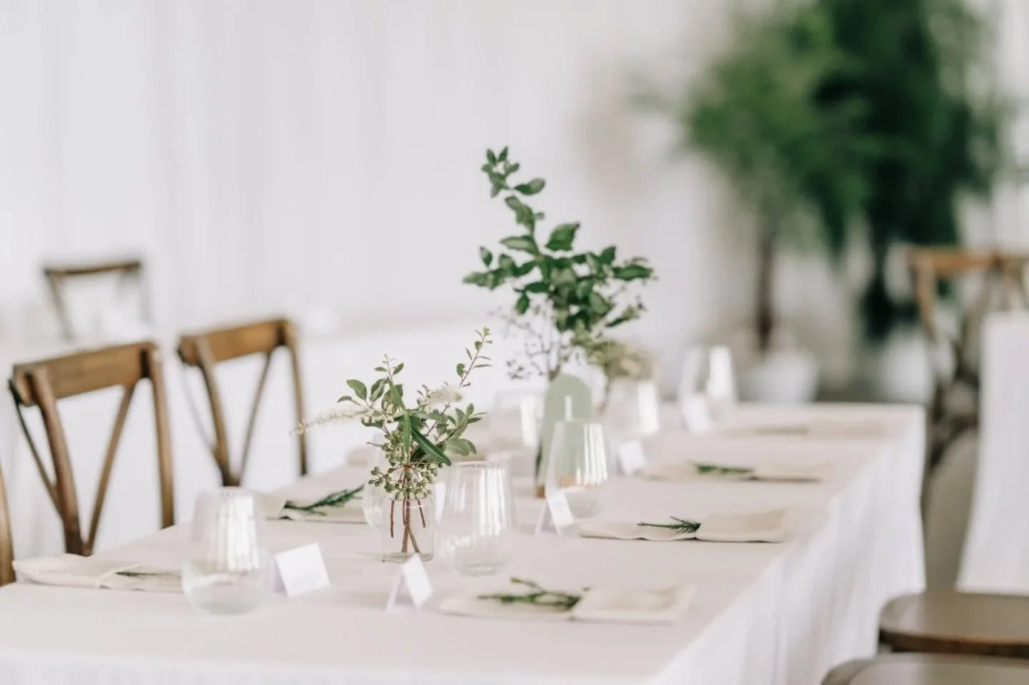 Little touches of greenery - from bud vases to freestanding plants - and repurposed ceremony pieces used on the head table, it felt like a little piece of the stunning surrounding bush had been brought indoors to enjoy in the reception space.&nbsp;&n