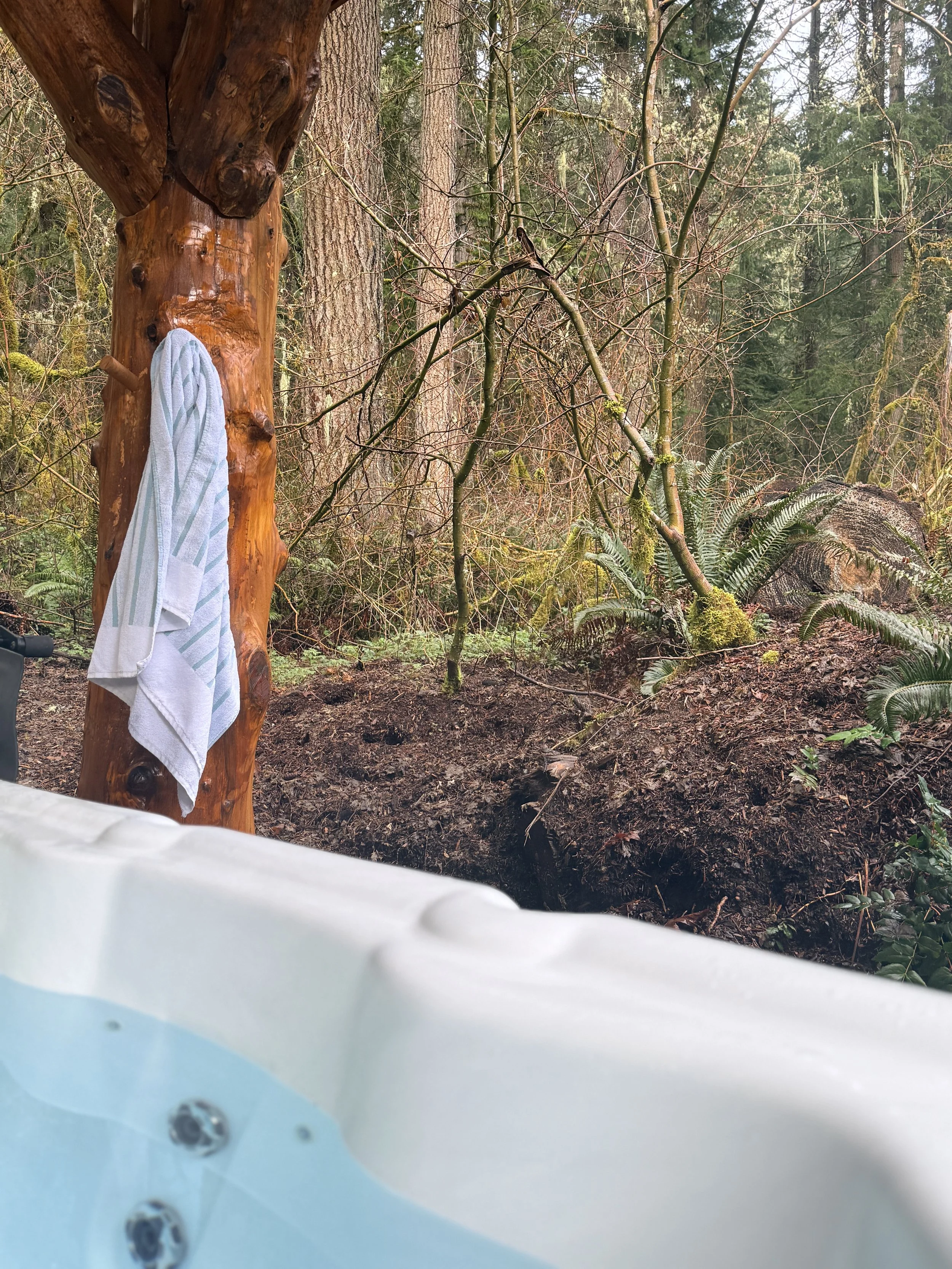 View of the forest from inside the covered hot tub at Fjellsangin in Ashford WA