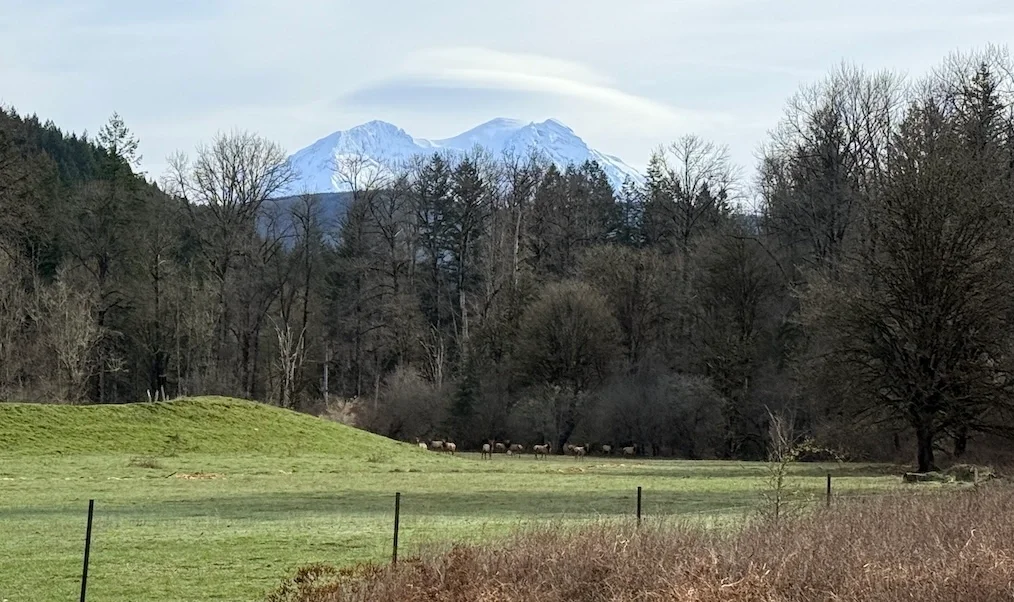 The Pacific Northwest Road Trip You Keep Putting Off