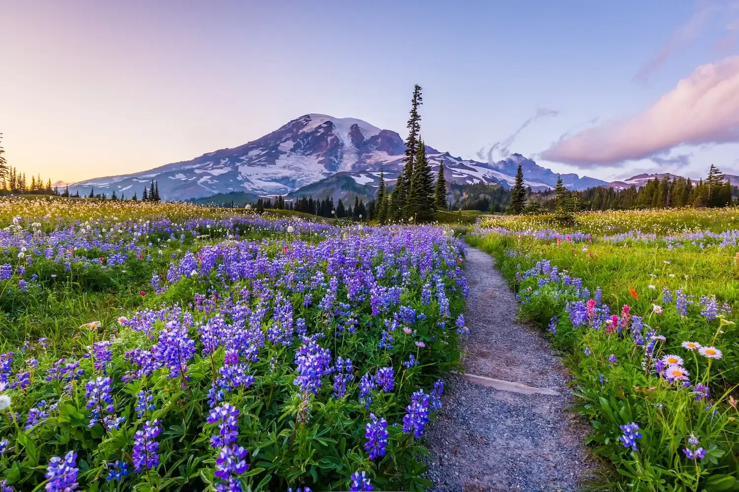What to Pack for a Mt. Rainier Trip: A Cabin Guest's Practical Guide