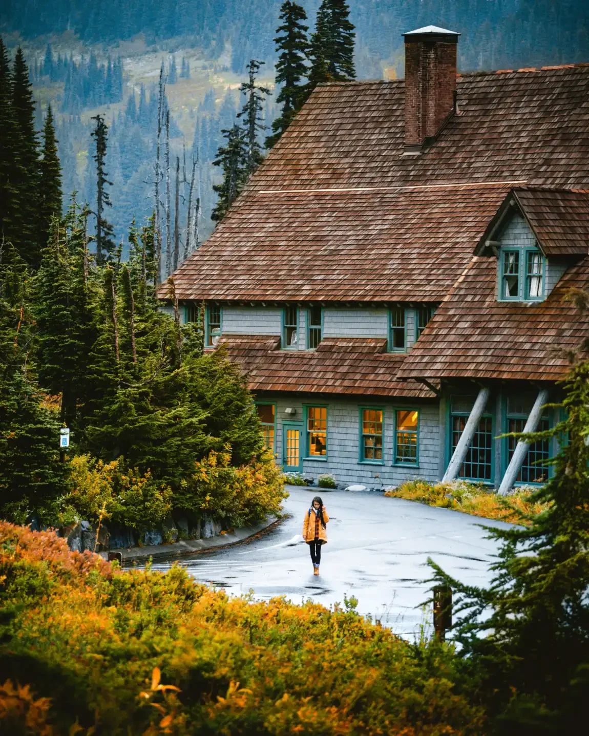 Paved Nisqually Vista Trail with fall meadow color looking at the historic Paradise Inn