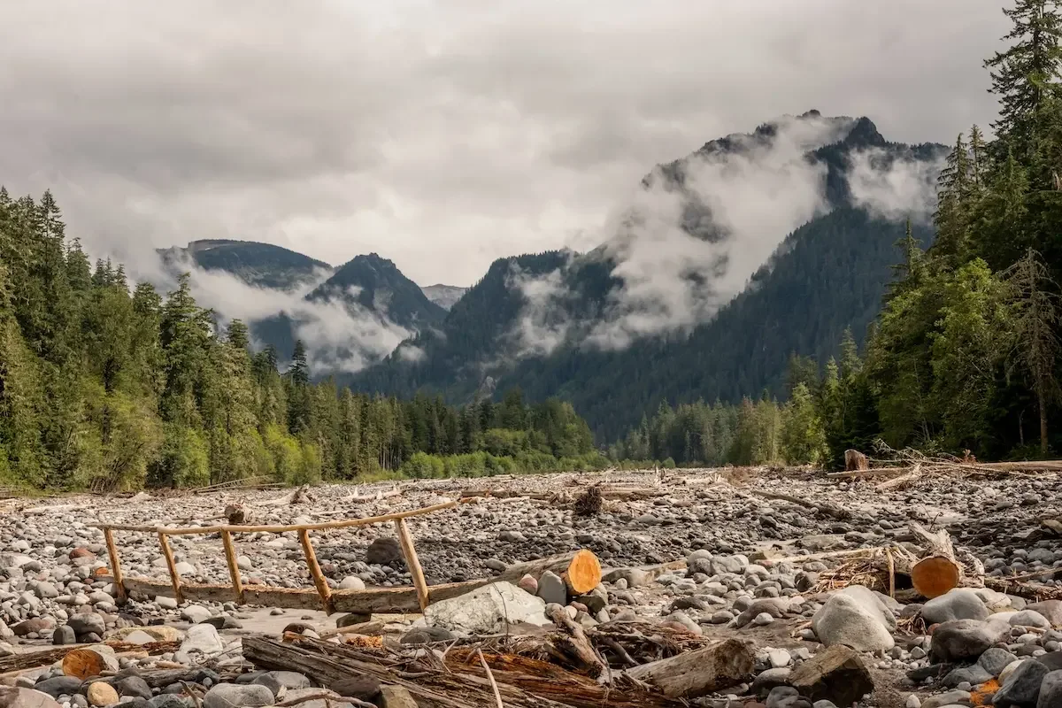 Nisqually River in winter fog