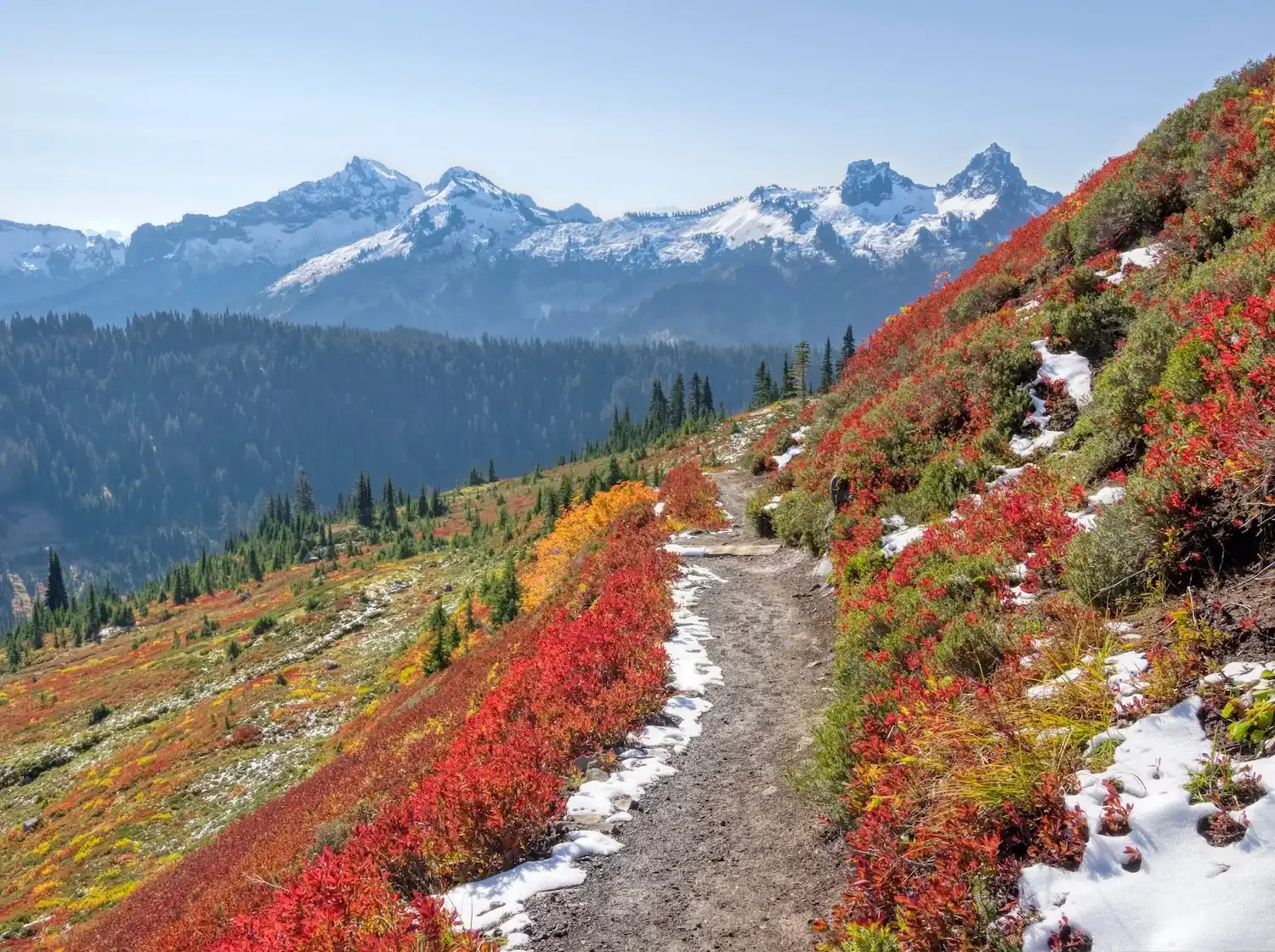 Fall hiking trail at Mt. Rainier with red huckleberry fields and early season snow near Ashford Washington