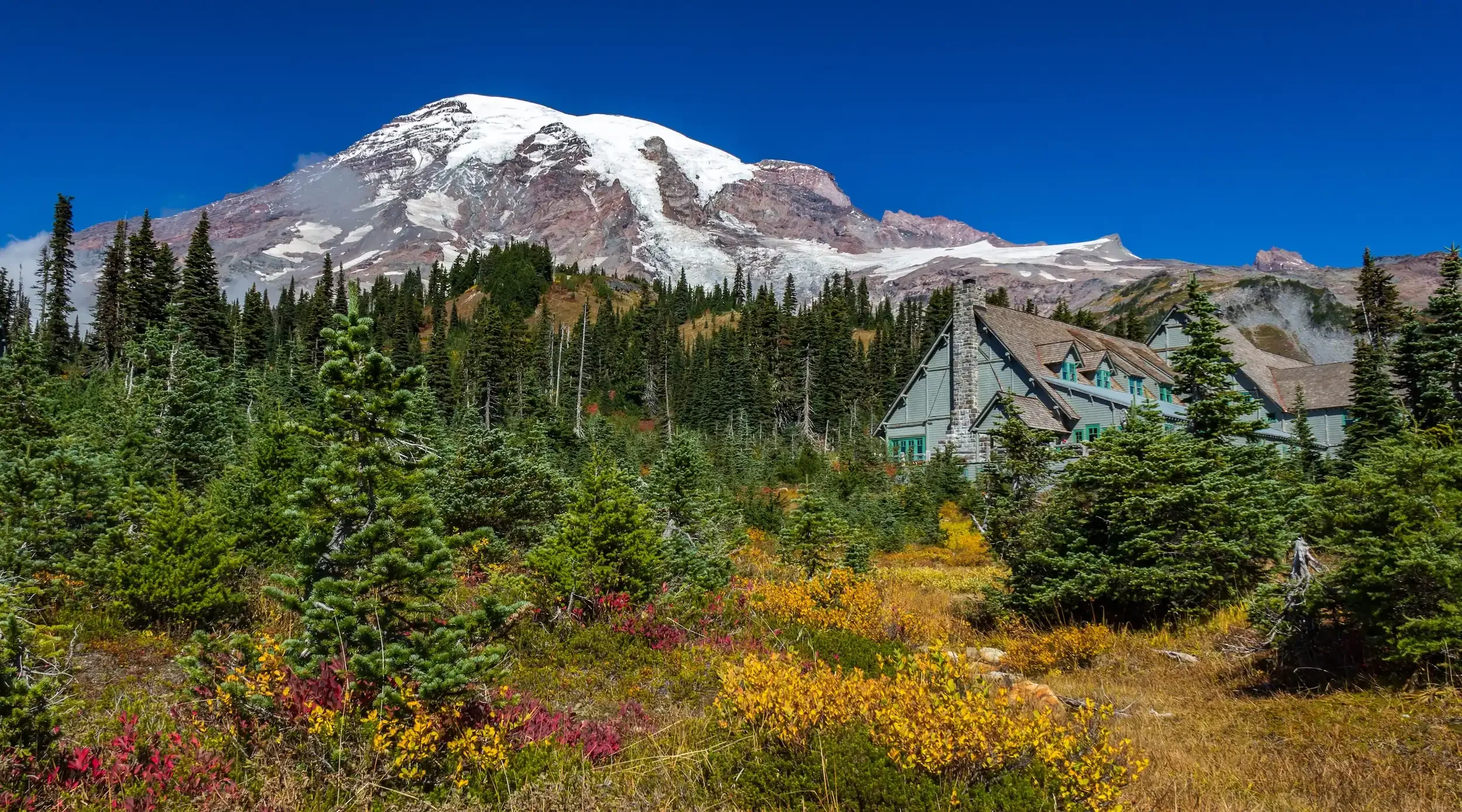 What First-Time Visitors to Mt. Rainier Often Get Wrong (And How to Do It Better)