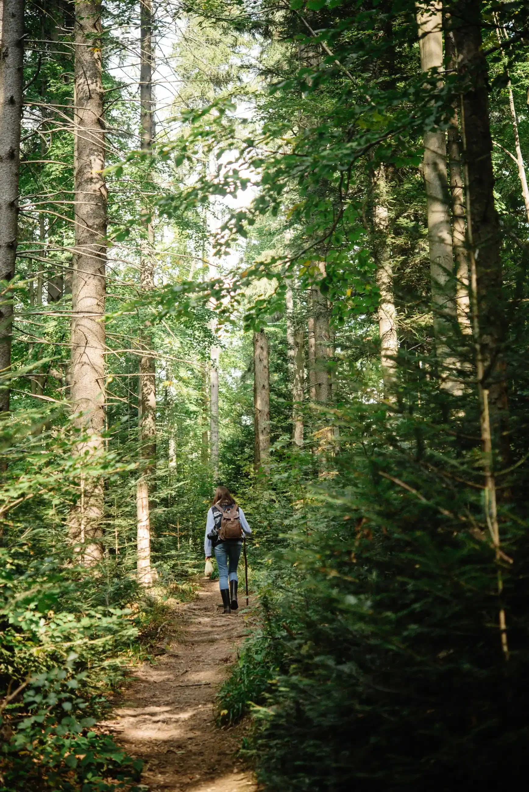 A woman hiking on Rampart Ridge Trail at Mount Rainier.