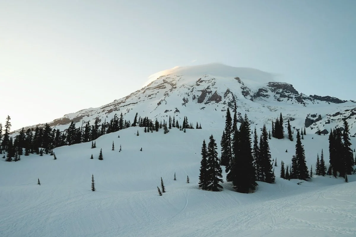 Mount Rainier summit with lenticular cloud cap above snow-covered Paradise meadows and subalpine firs in winter, viewed from the Nisqually side