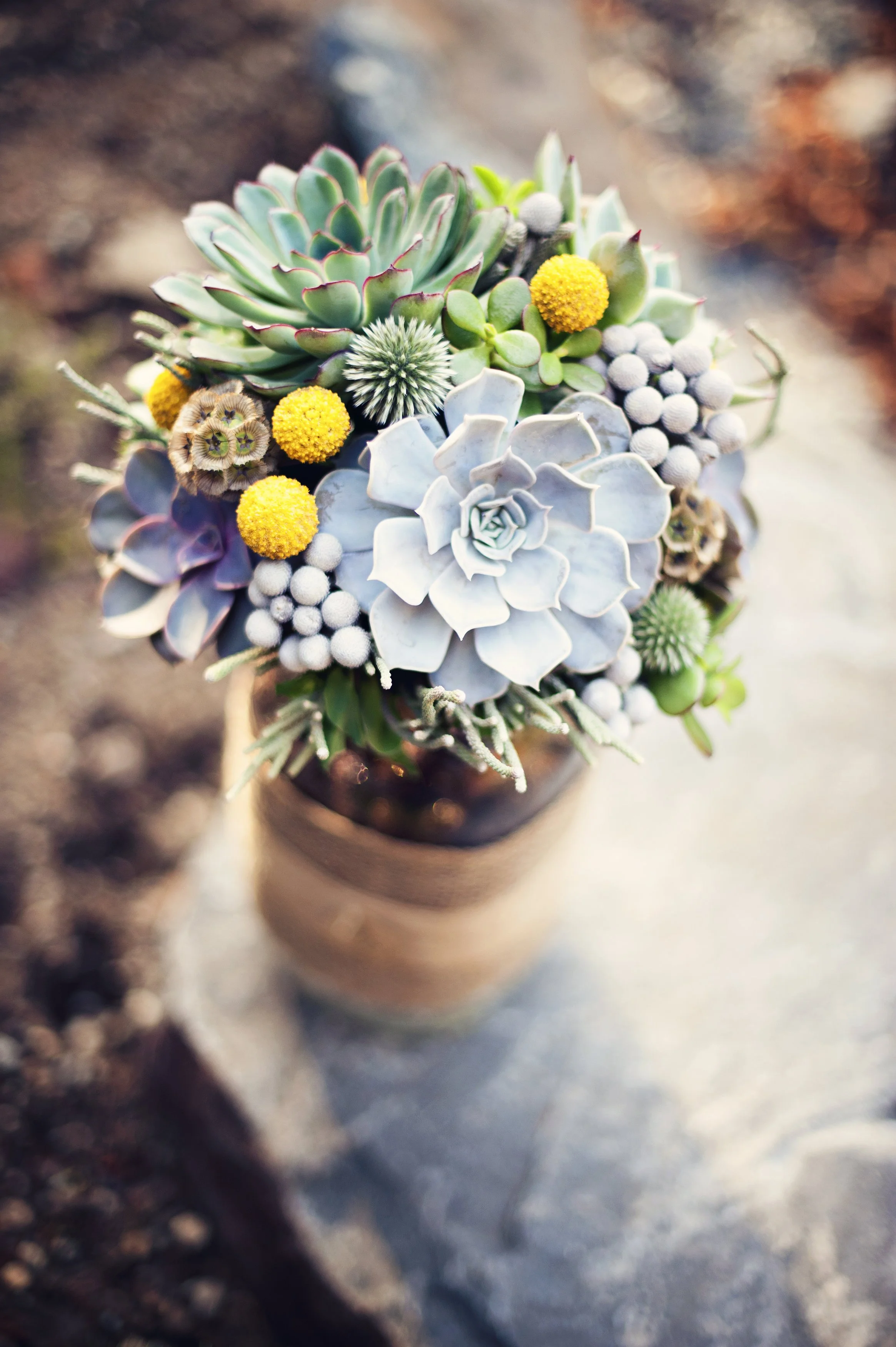 Close-up detail of a succulent bridal bouquet with echeveria and yellow craspedia at an intimate ceremony at Fjellsangin near Mount Rainier, Washington