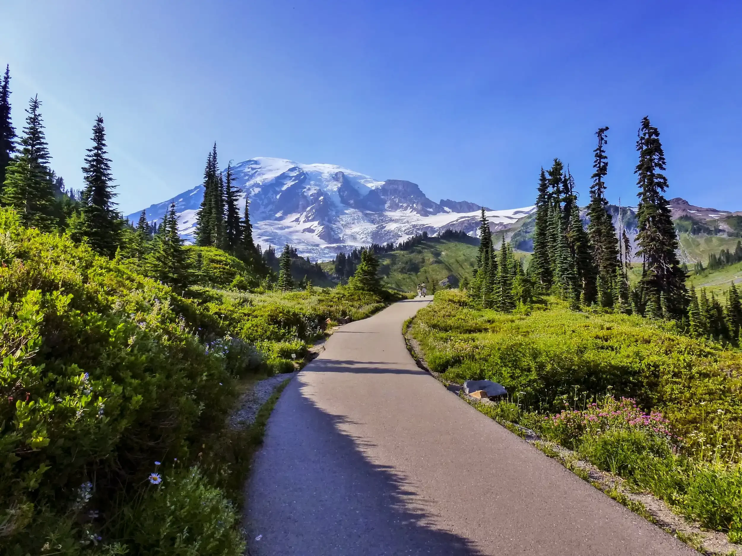 Skyline Trail at Mount Rainier National Park.