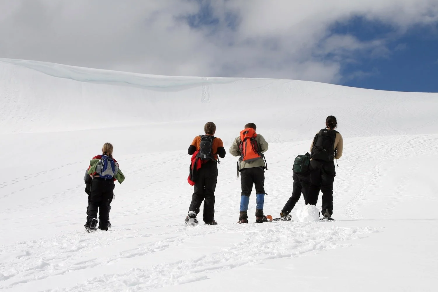 Family snowshoeing through snow-covered forest at Mount Rainier National Park — winter adventure accessible from Fjellsangin cabin near Ashford, WA