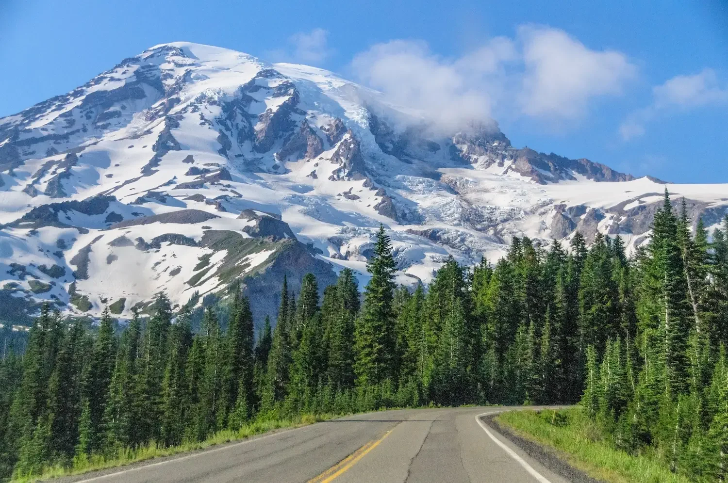 Visiting Mt. Rainier for the First Time in 2026? Read This Before You Leave Ashford