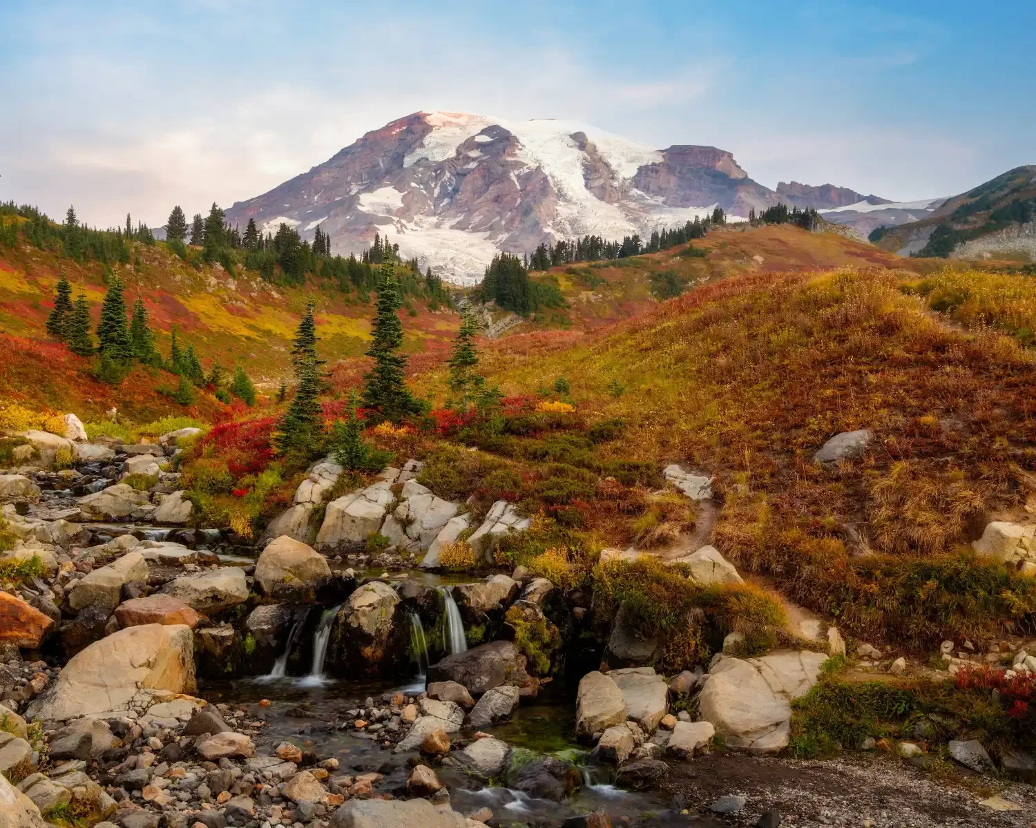 Huckleberry meadow turning red and gold at Paradise near Mount Rainier in fall