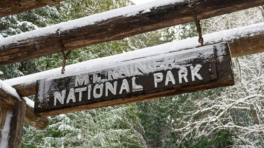 Is Mt. Rainier Open Year-Round? What to Expect at the Nisqually Entrance