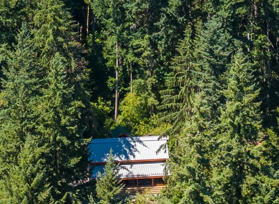 Permanently protected forest behind Fjellsangin, Nisqually Land Trust Busy Wild corridor