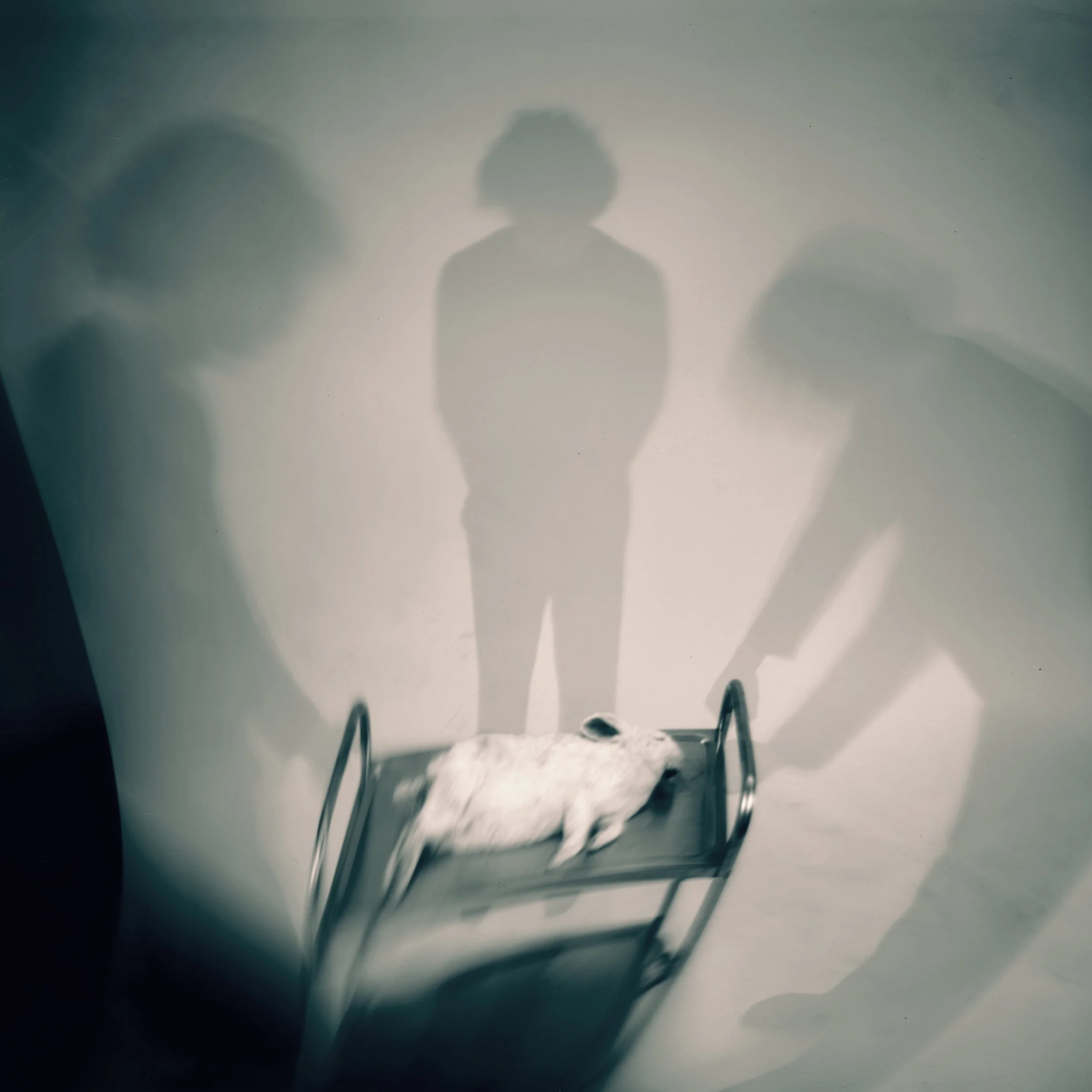Three Ghosts and One Rabbit