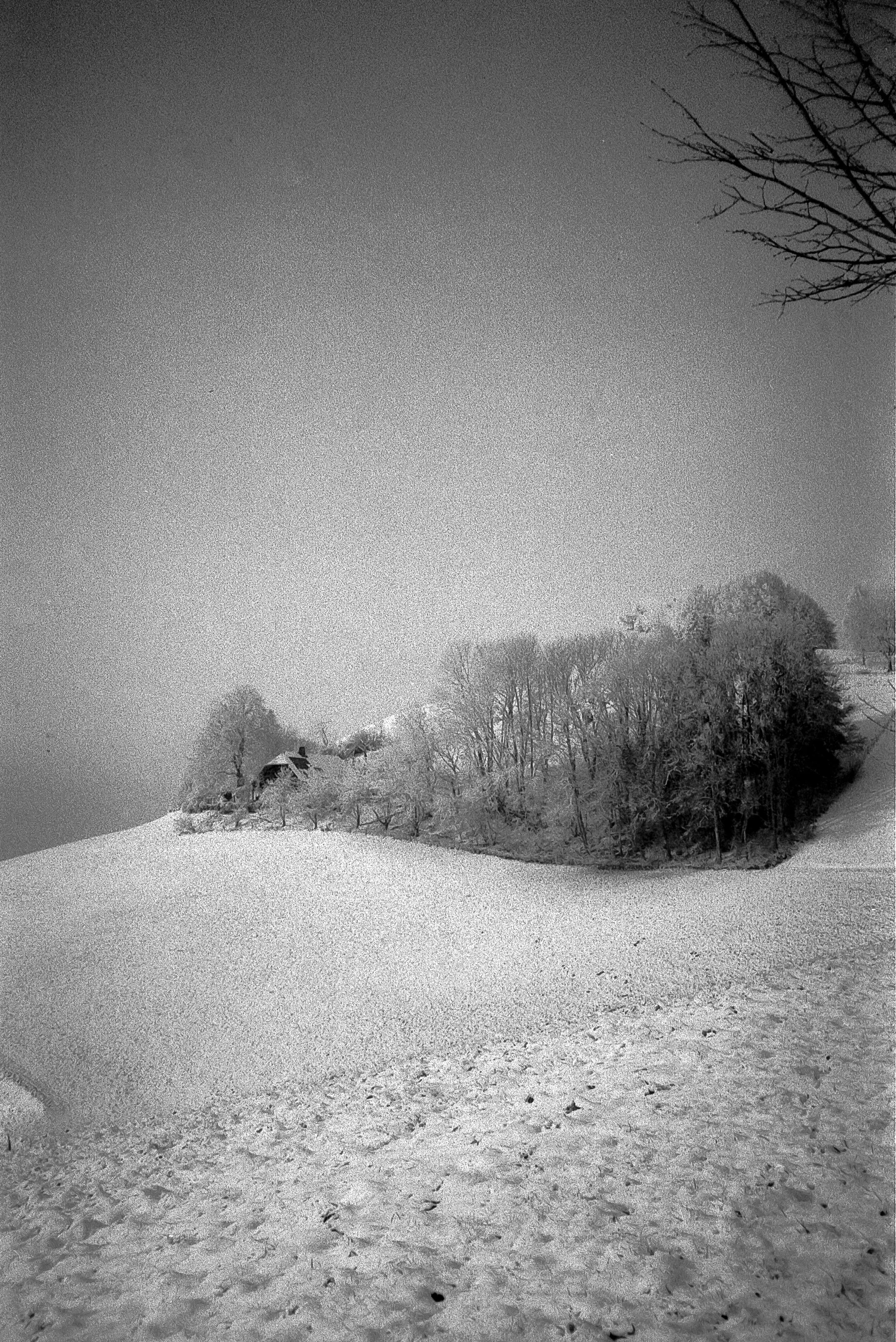 "The Day Grandma Dies" was shot on December 18, 2022, a couple of hours before my grandmother's passing. All photos were taken with an old camera of hers.