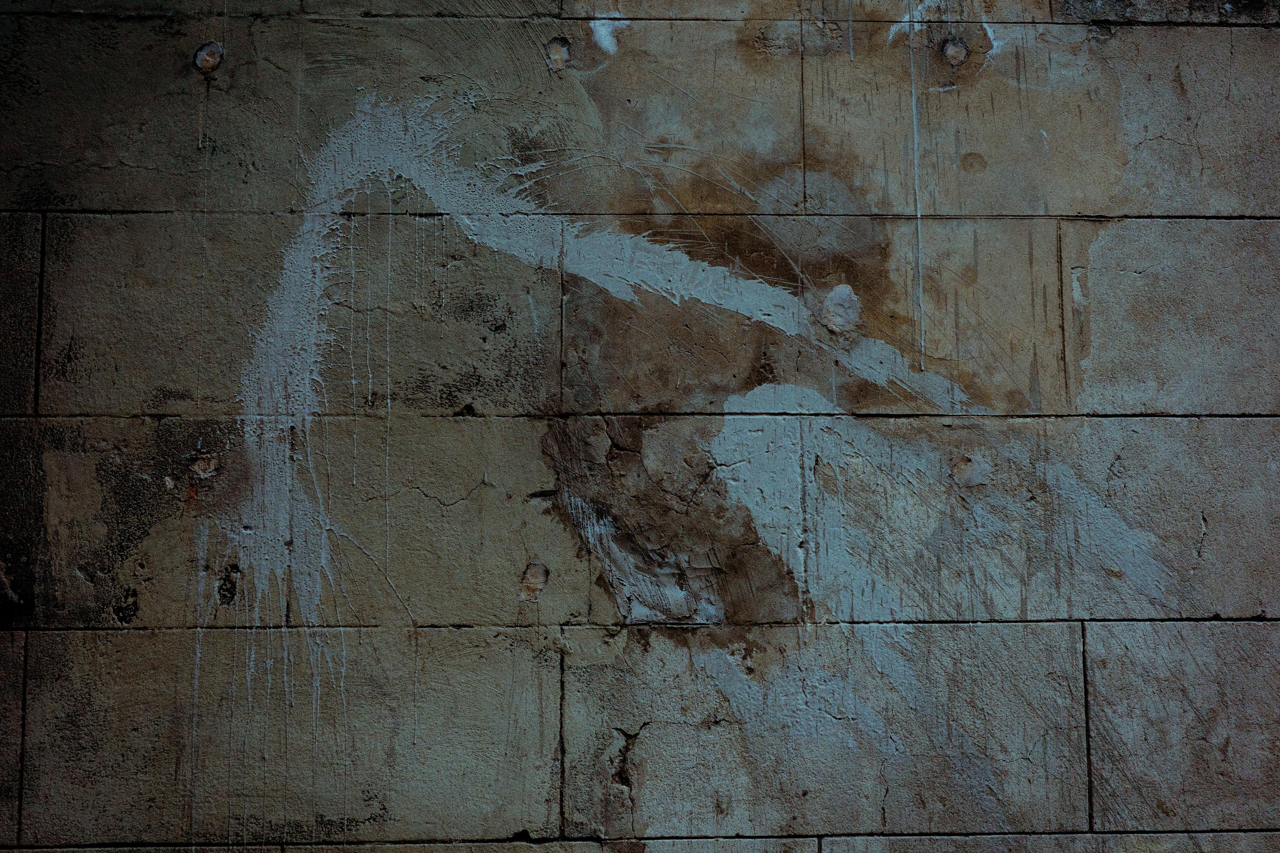 "Layers of Existence" is a project focusing on the walls of public spaces in South America, surfaces that are constantly passed by, rarely noticed. Each mark, layer of paint, and trace of weathering is the result of countless anonymous gestures, turn