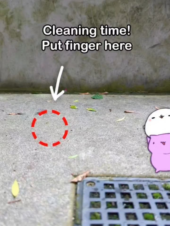 Reposting today&rsquo;s little joy boost. Your brain deserves this break 🩵💛🩷

Creators featured:
@mochicatanimations
@coolman_coffeedan
@maddiedanceparty

#DreavitaWellness #dreavita #mentalhealth #mentalhealthsupport