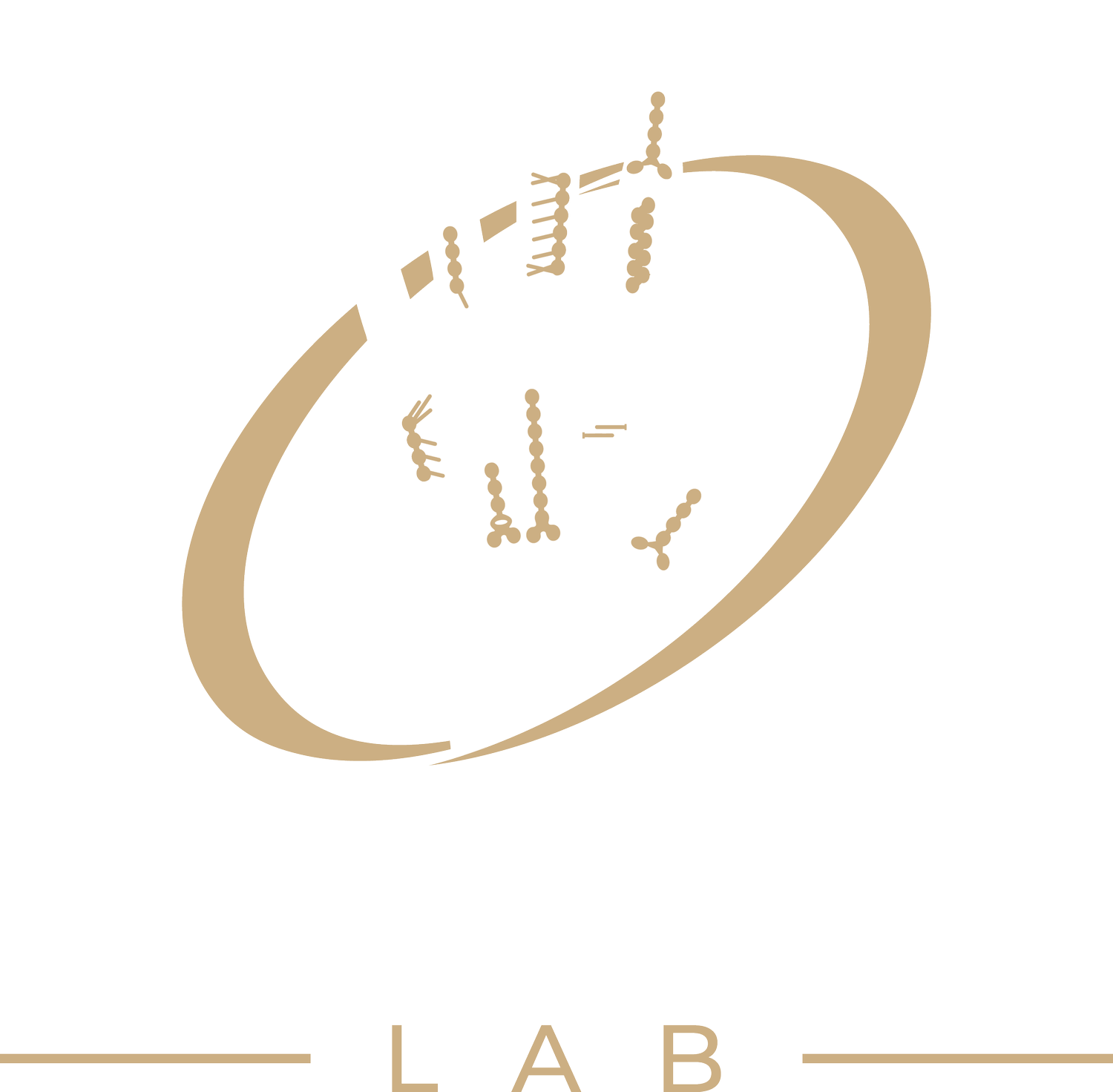 The Hand Lab
