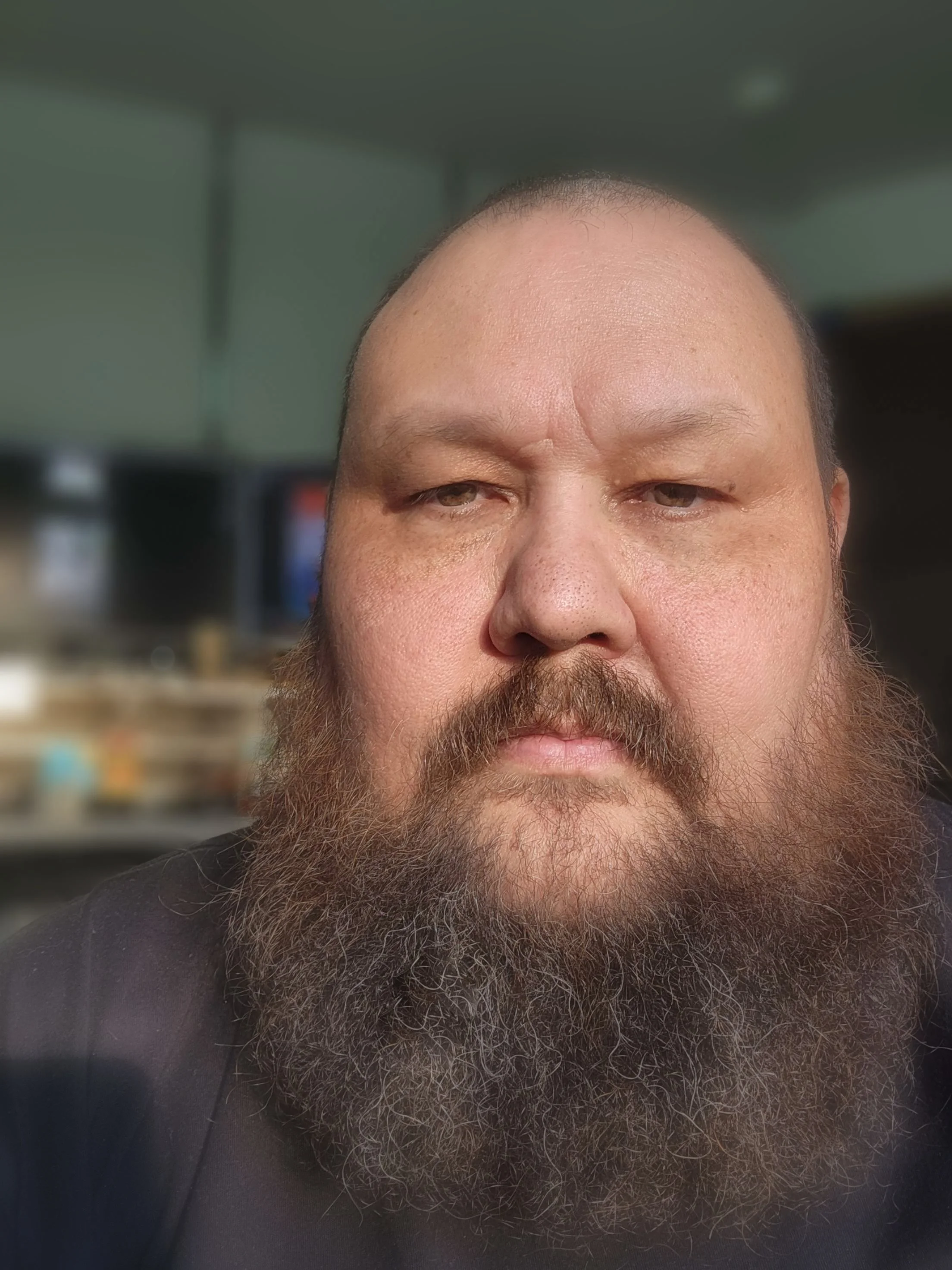 A close-up of a man with a bald head, brown beard, and mustache, looking directly into the camera. The background is blurred, showing a room with a television and shelves.