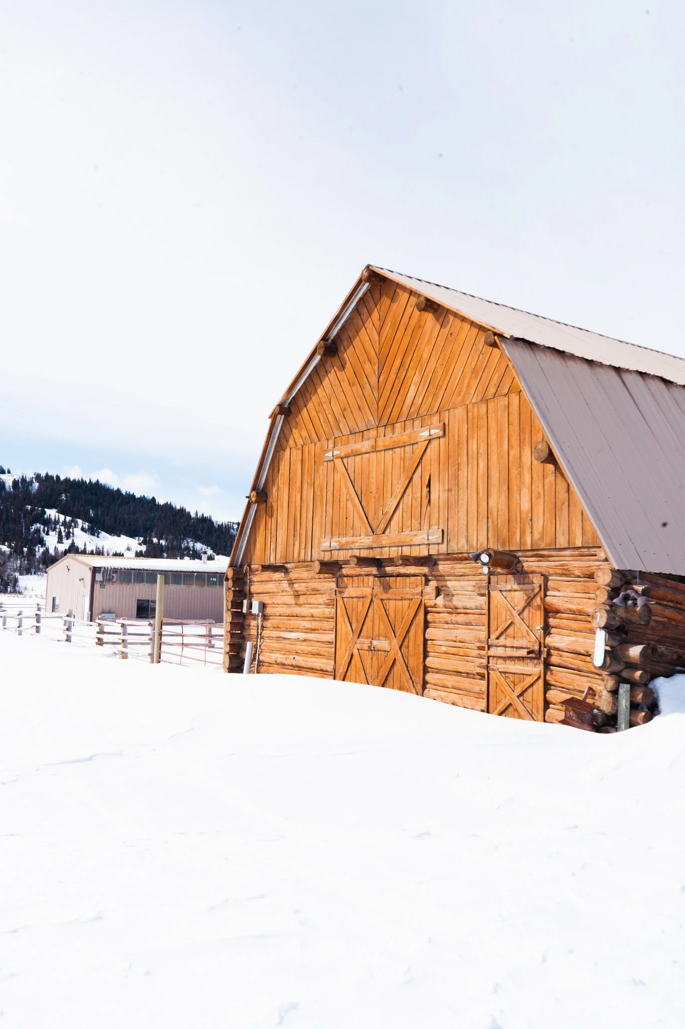 GV Sled Day 24-37.JPG