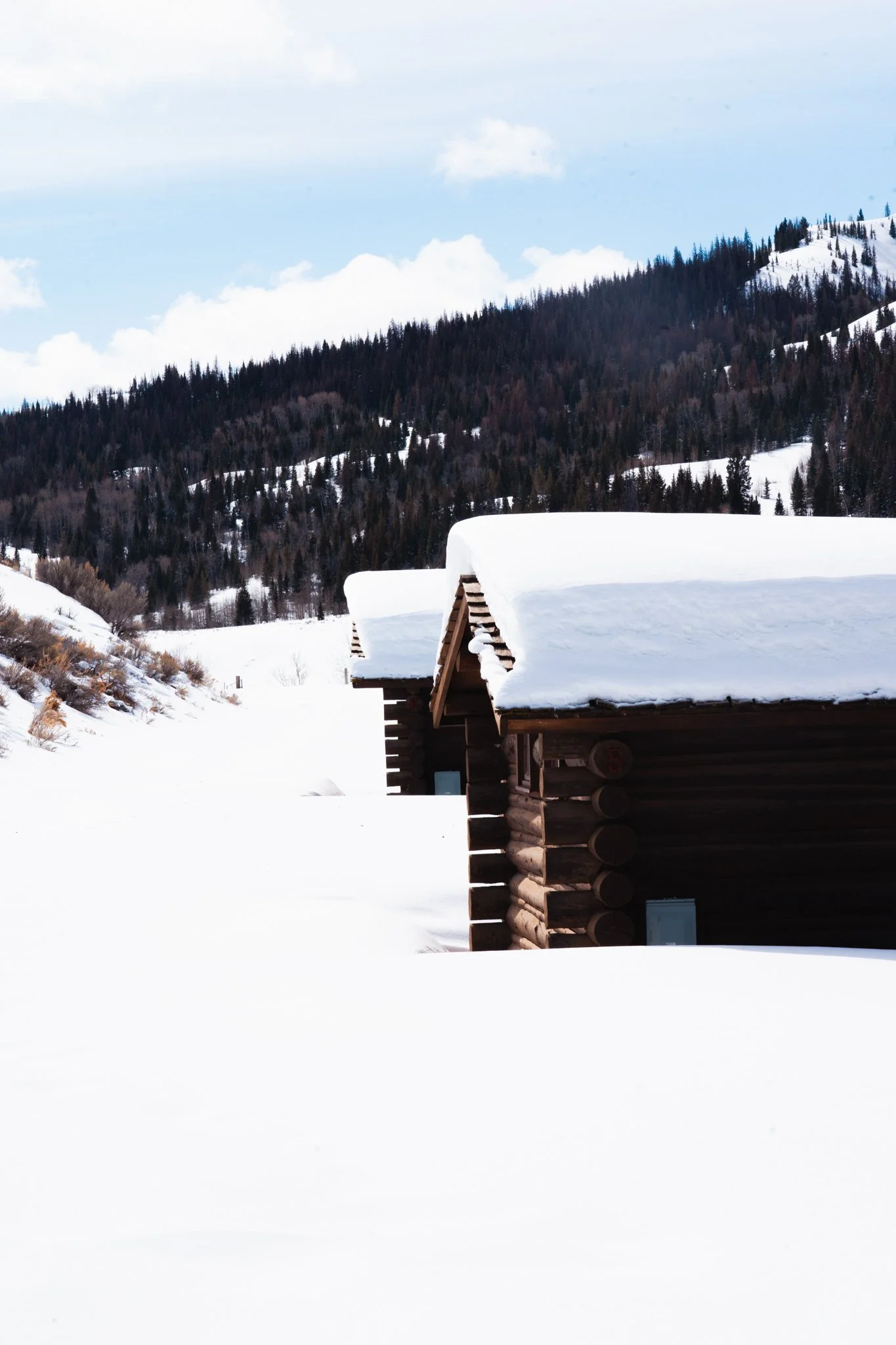 GV Sled Day 24-42.JPG