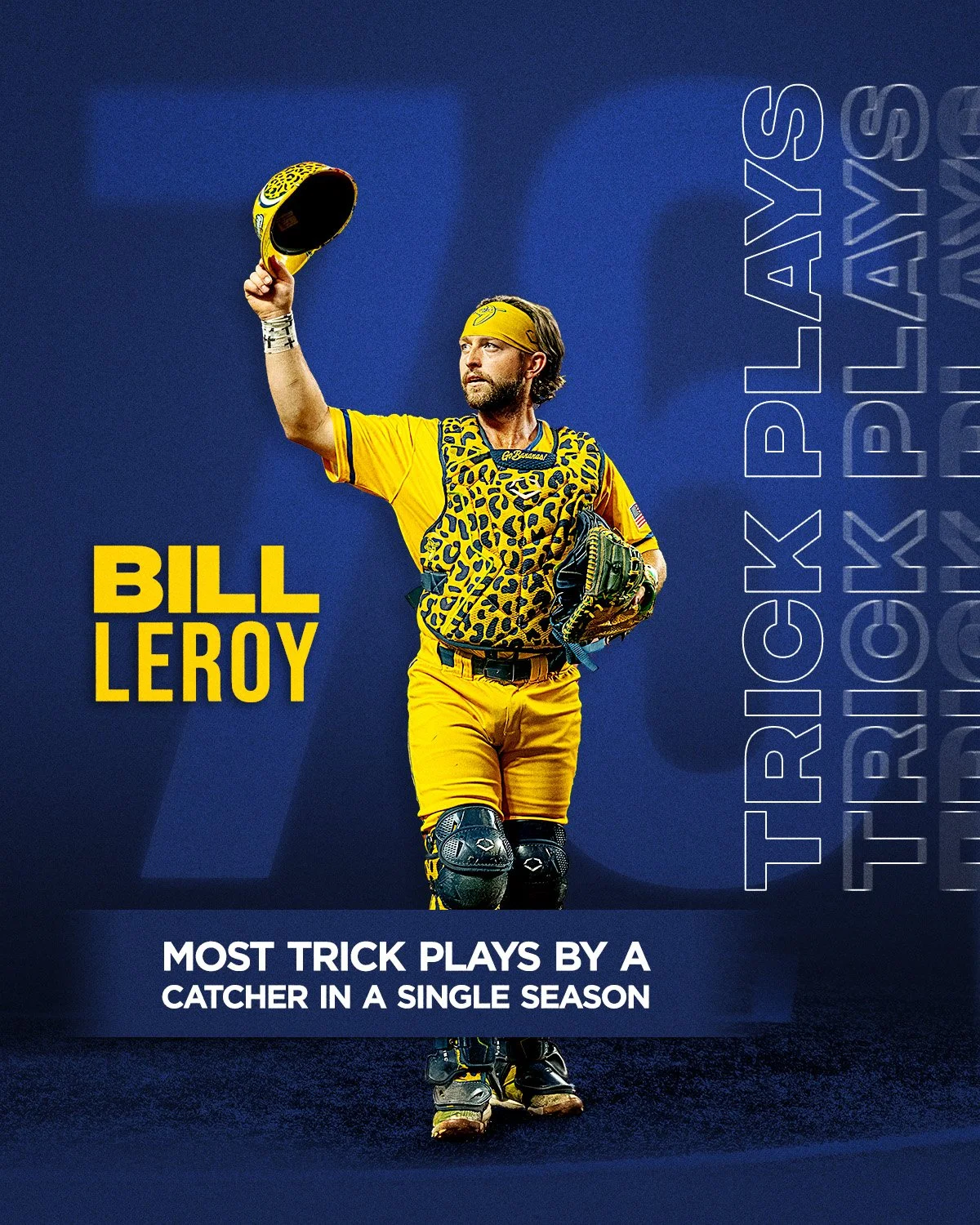 Bill LeRoy Graphic.jpg