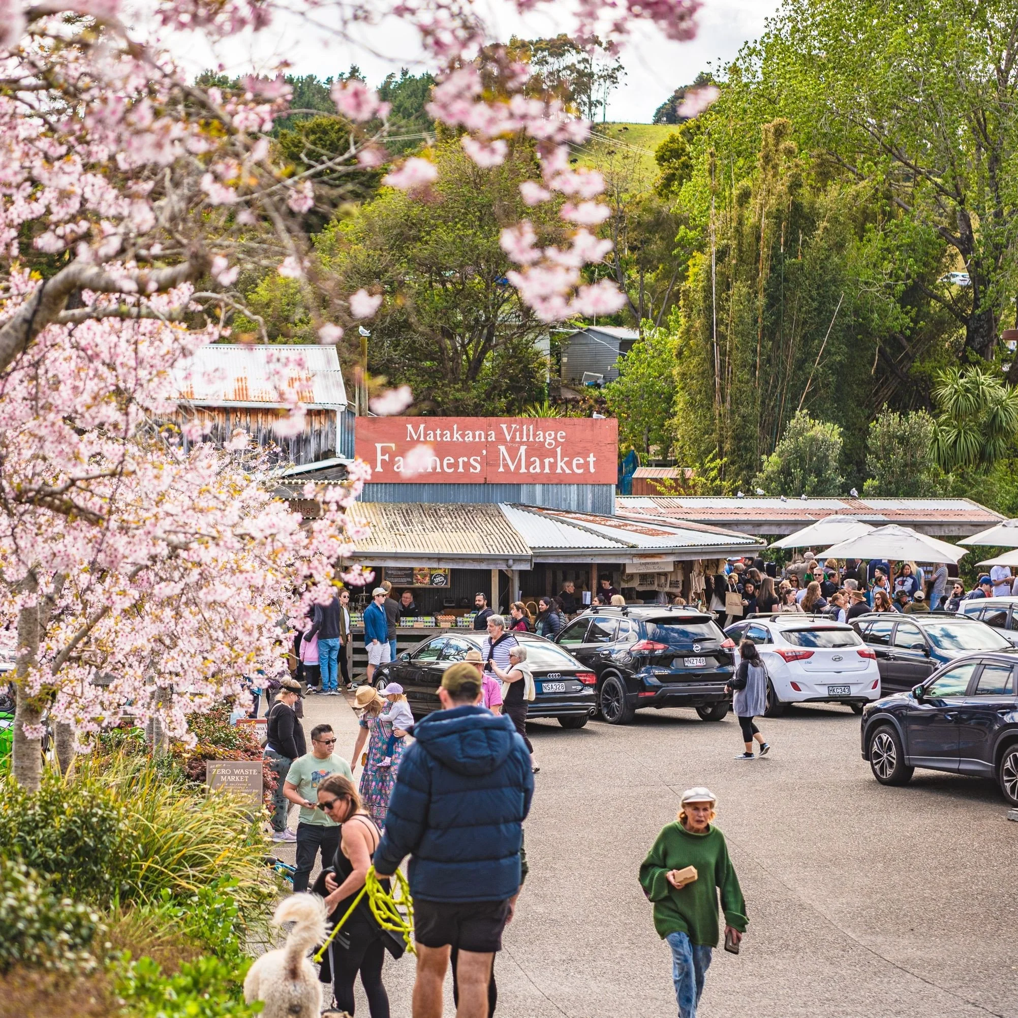 Matakana Village Farmers' Markets
