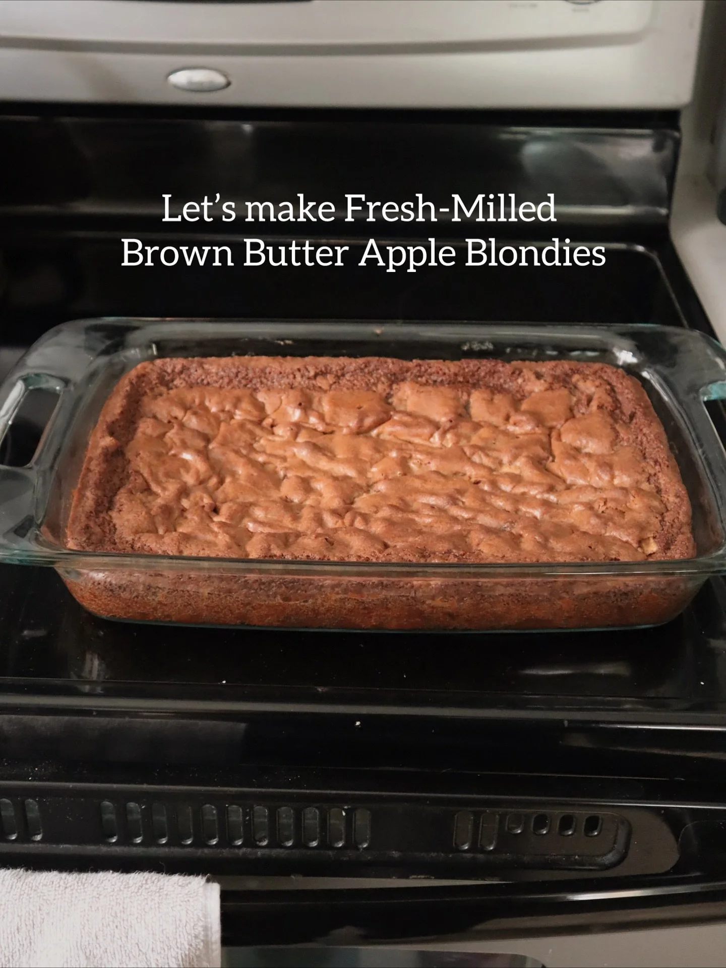 Fresh-milled apple blondies &mdash; soft, spiced, and full of cozy fall flavor. 
Full recipe on the blog &mdash; link in bio.

#freshmilledflour #appleblondies #fallbaking #homemadebaking #fromscratch #cozyrecipes #autumnbakes #bakingblog #homebaking