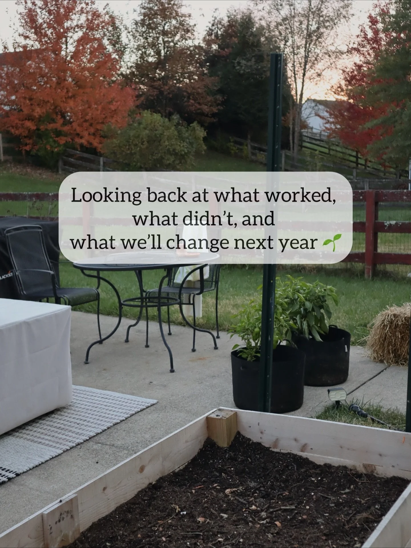 A few mistakes, a few wins, and a lot learned this year in the garden!
Read more on the blog &mdash; link in bio.

#GardenRecap #FallGarden #GardenLessons #RaisedBedGarden #HomeGarden #BackyardGarden #VegetableGarden #HomesteadGarden #GardeningJourne