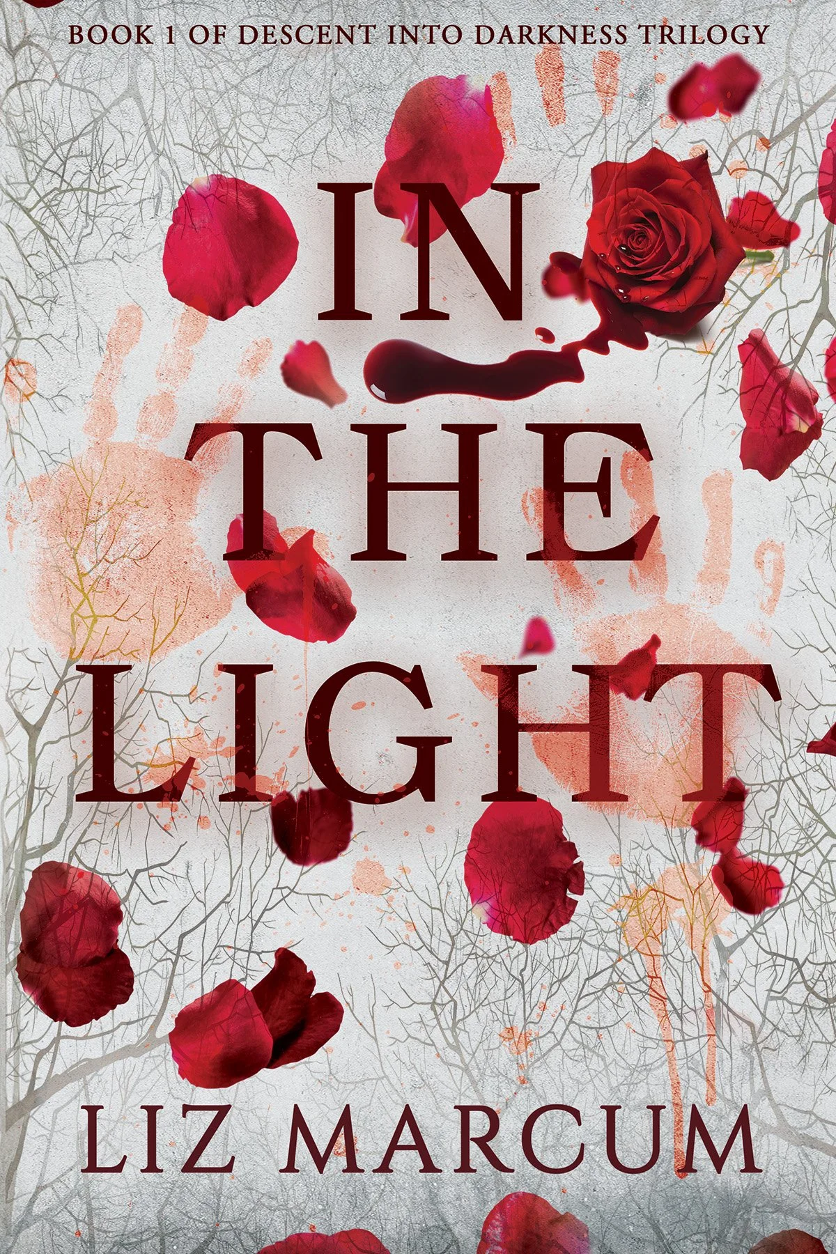 IN THE LIGHT- Autographed Paperback