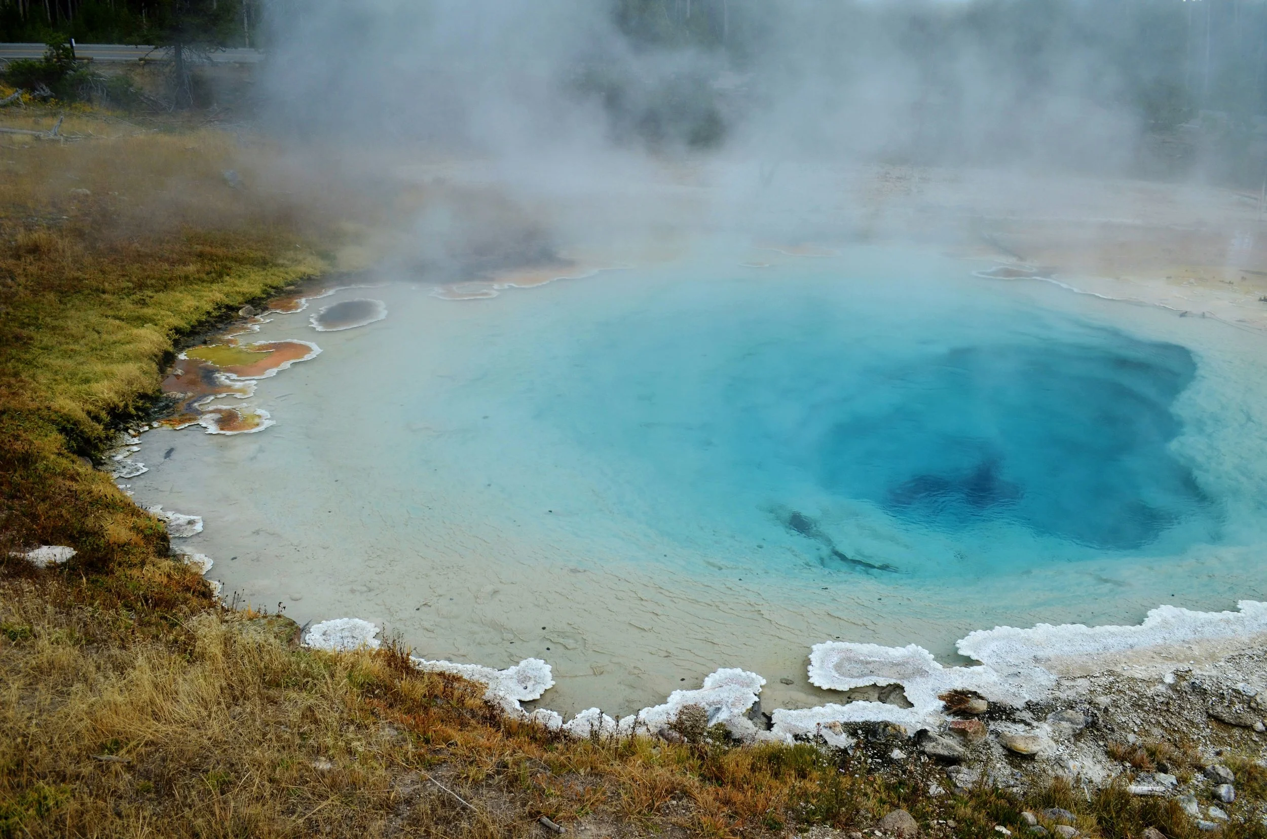 Gut Microbe Spotlight: Methanogens 