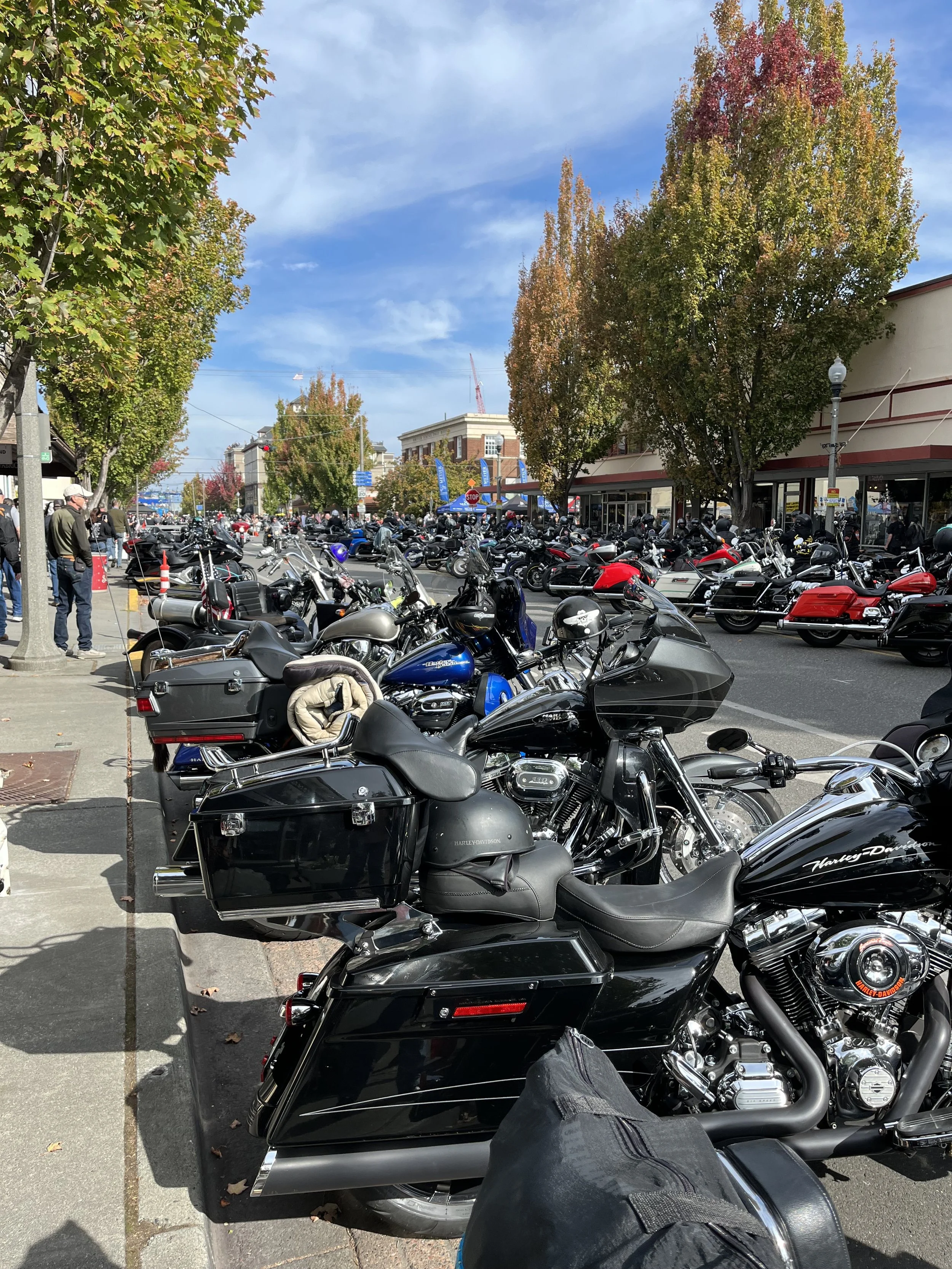 Oyster Run - Anacortes, WA