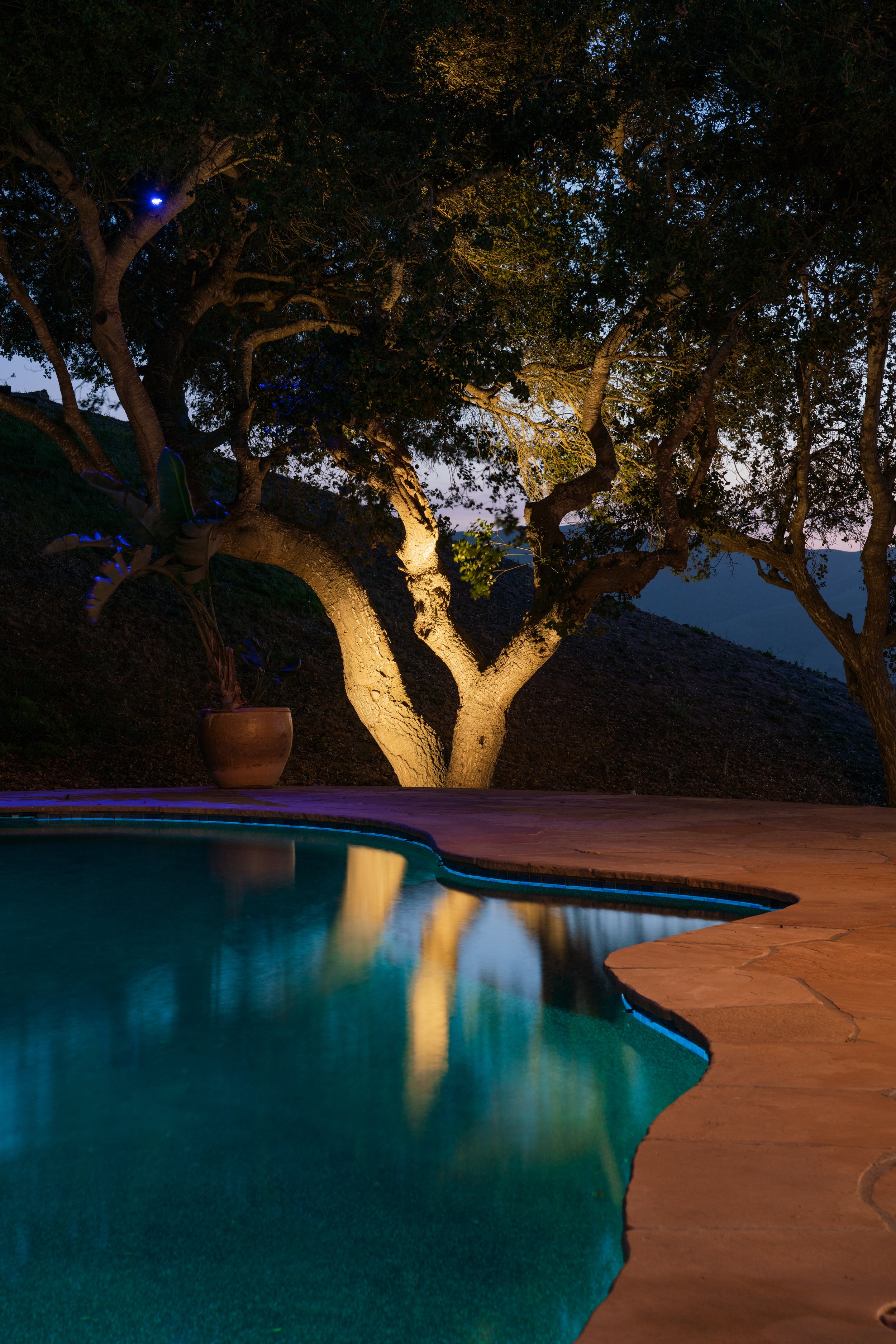 Manifest Building - Santa Barbara - Cougar Ridge - Landscape Design