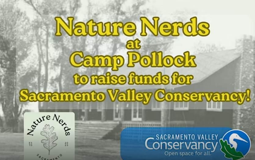 Nature Nerds: Special Edition at Camp Pollack