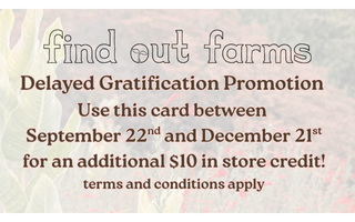 Last Day for the Delayed Gratification Sale!