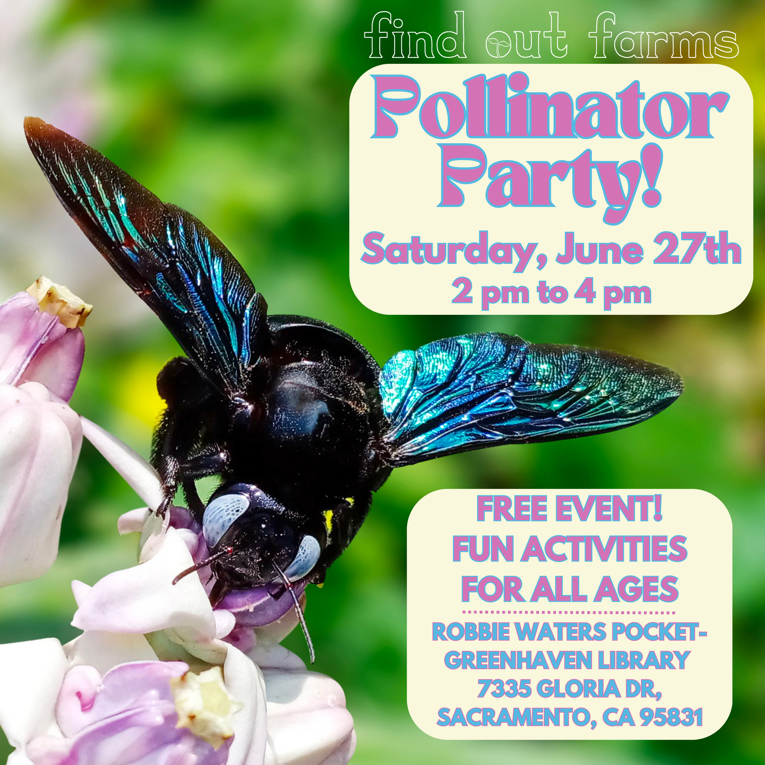 Pollinator Party at Robbie Waters Pocket-Greenhaven Library