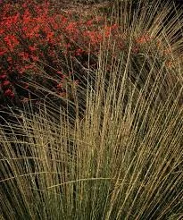 Nursery Open Hours