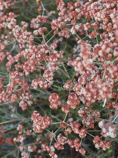 Nursery Open Hours