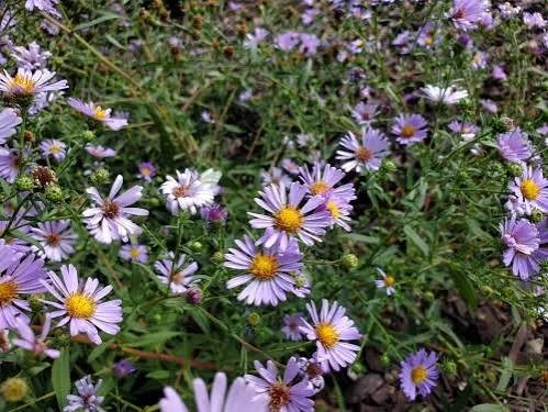 Nursery Open Hours