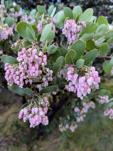 Nursery Open Hours